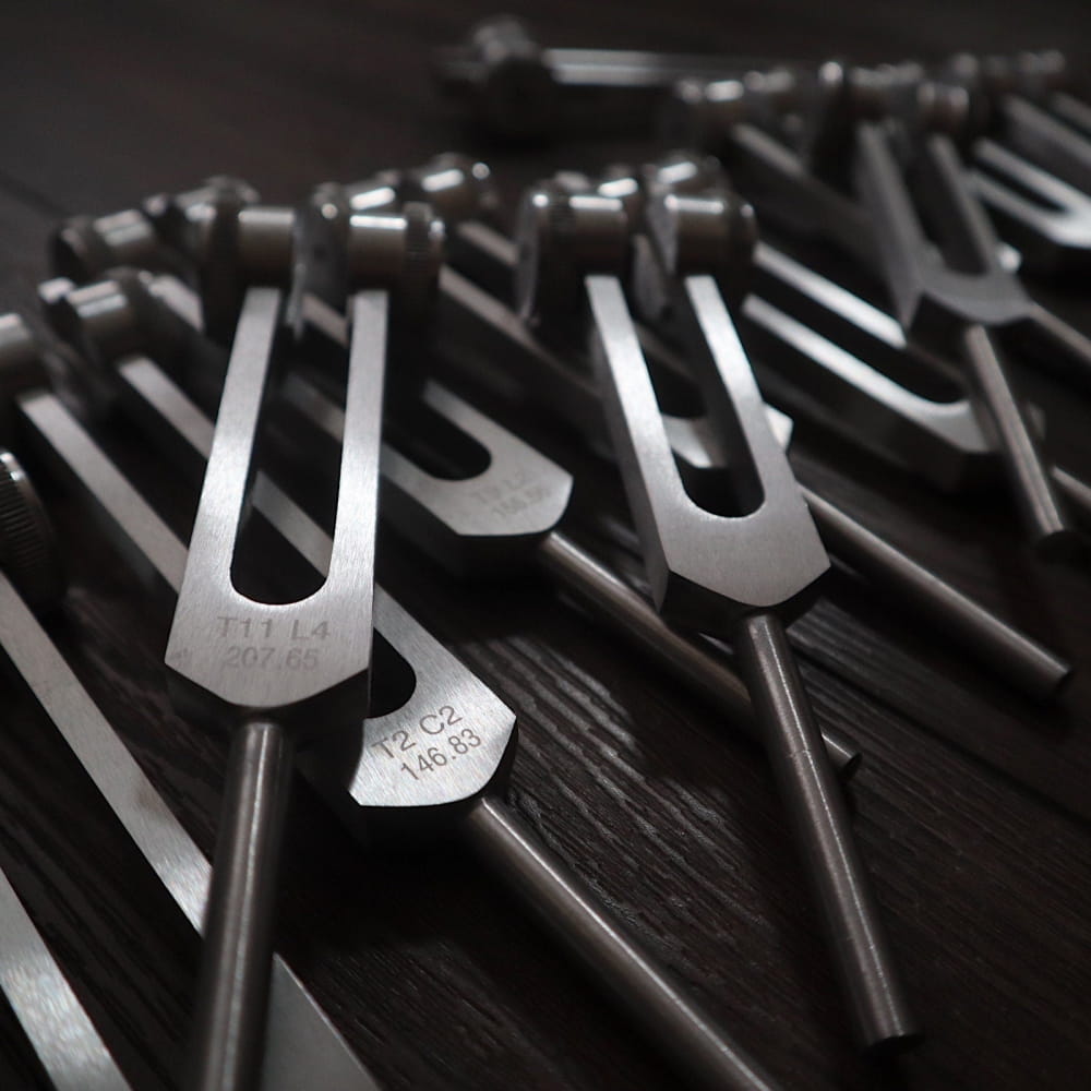 Collection of tuning forks in a row from the 12pc Song of the Spine set