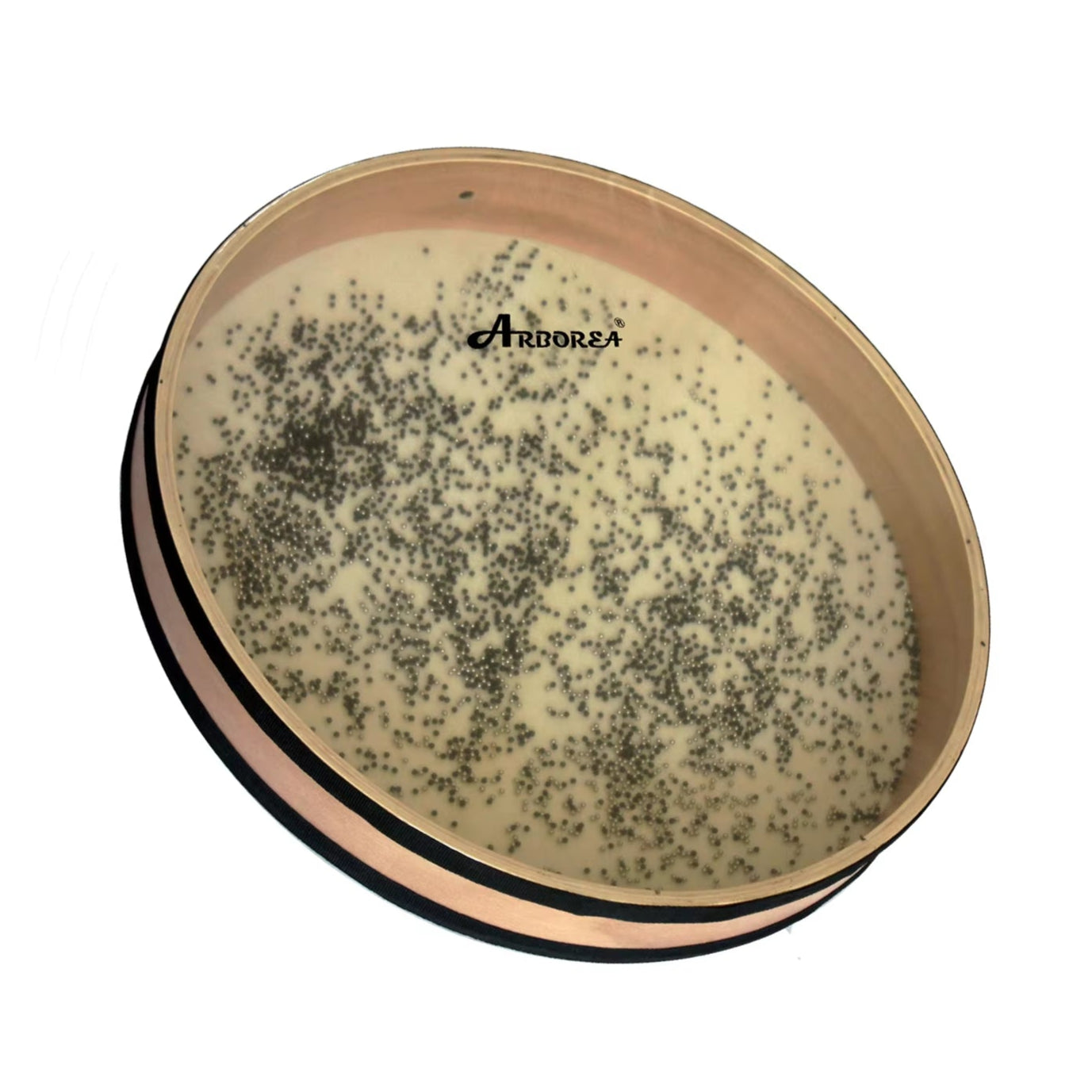 Petri dish with dark speckled growth on pale medium beside Ocean Wave Drum Instrument