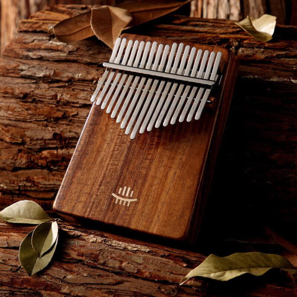17 Key Acacia Wood Kalimba featuring metal tines in a fan pattern on resonant hollow body