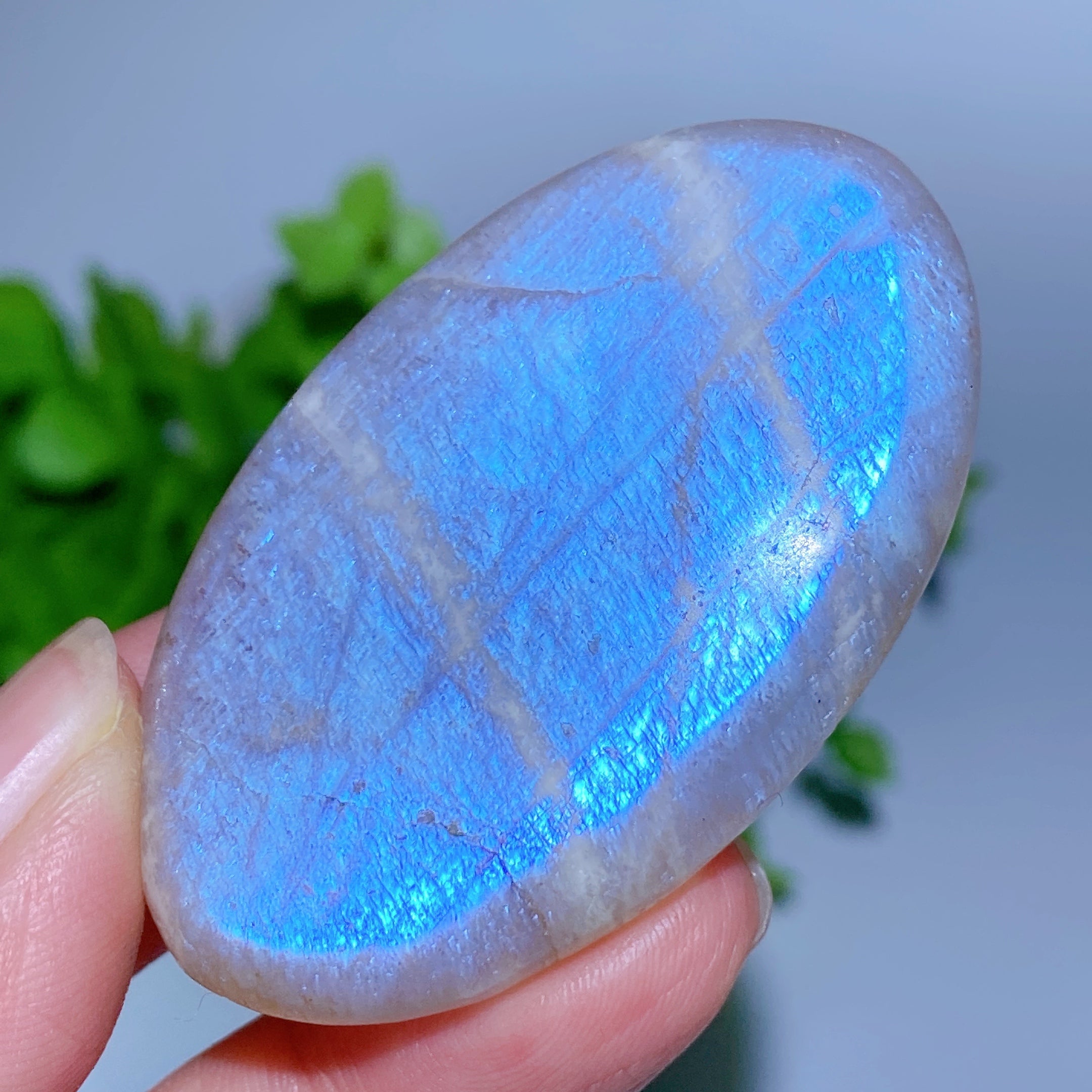 2.0-2.2" Blue Flash Moonstone Palm and Heart Healing Stones