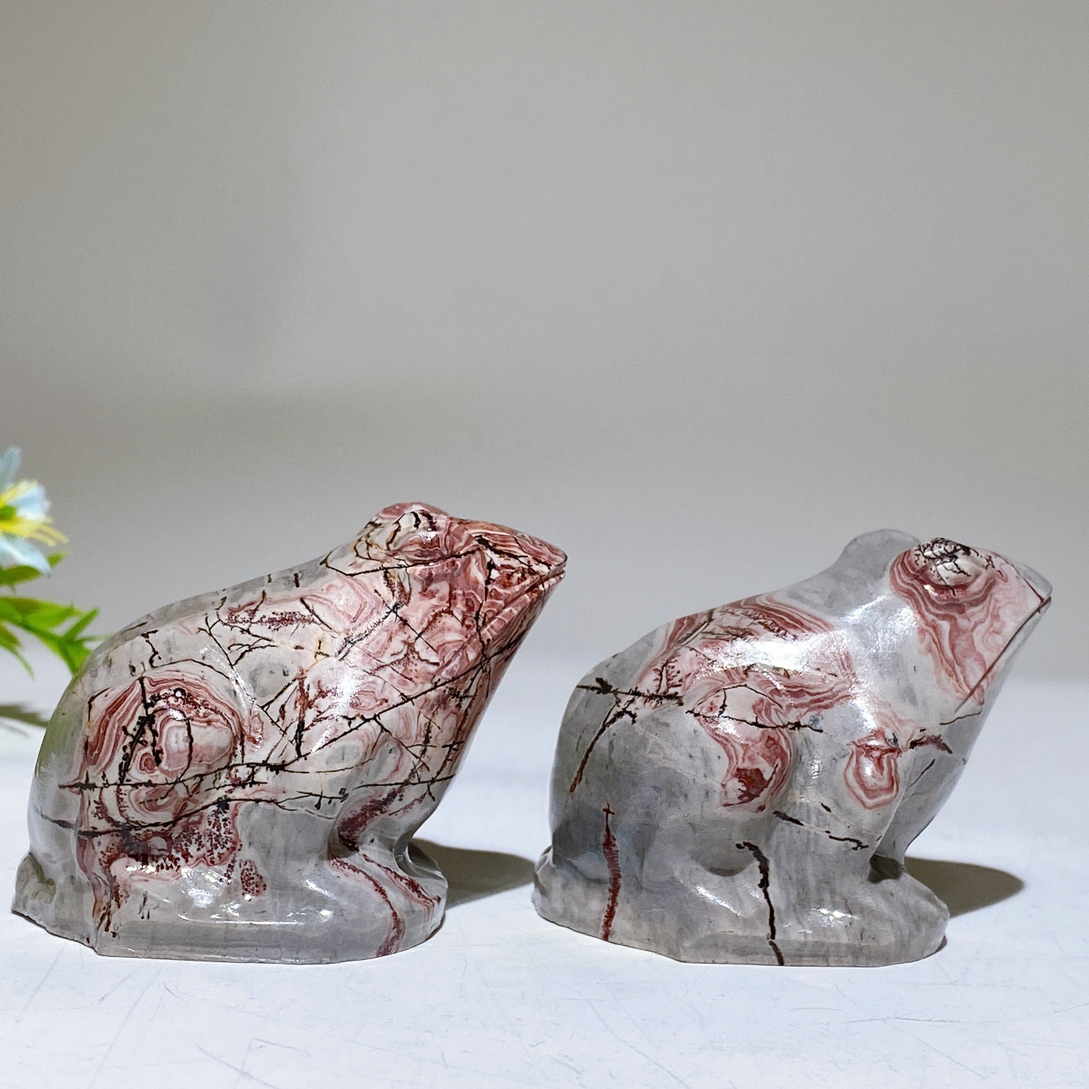 2,2 Zoll Bildjaspis Frosch Figur Schnitzerei