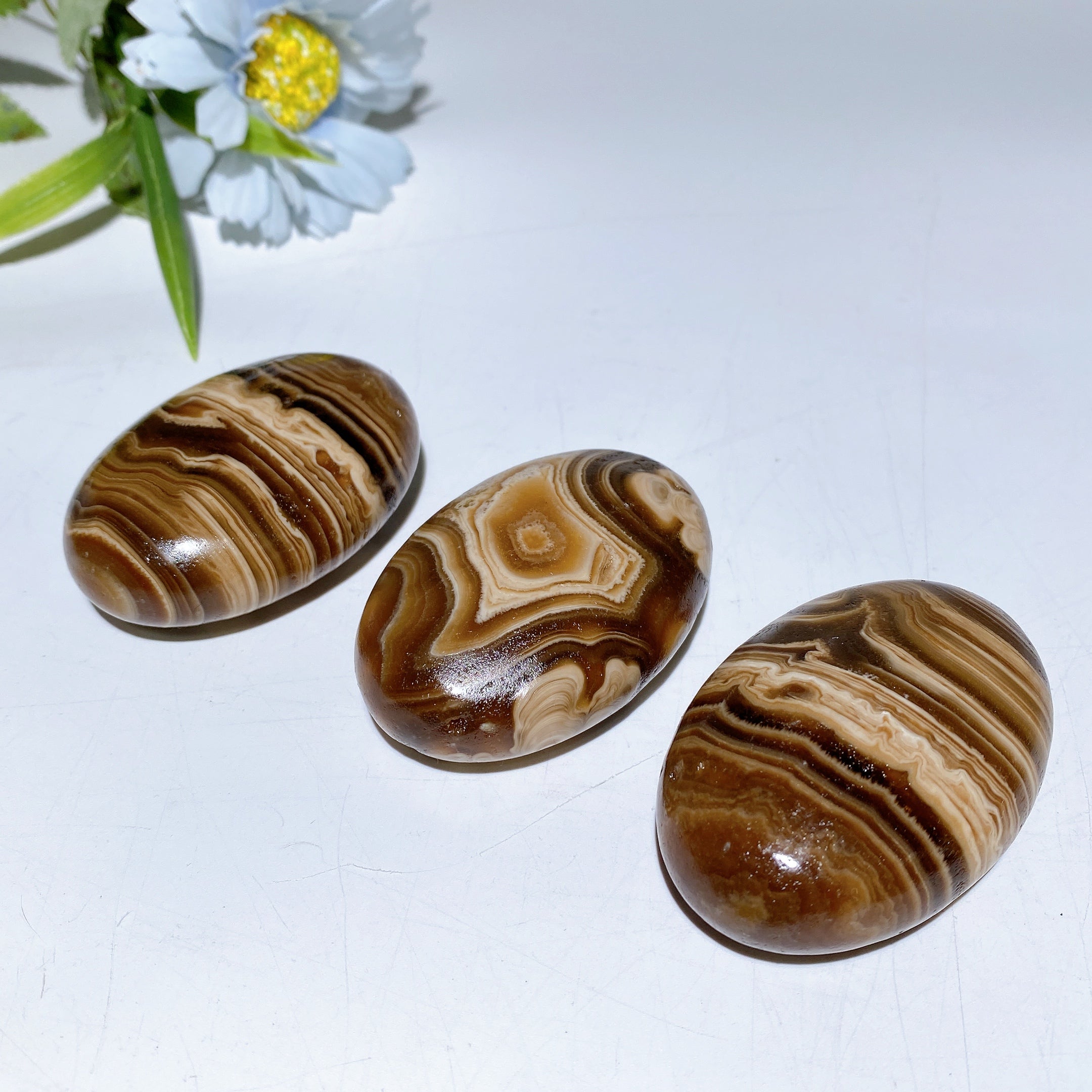 2,4 Zoll Schokoladencalcit Palmstein zur Heilung