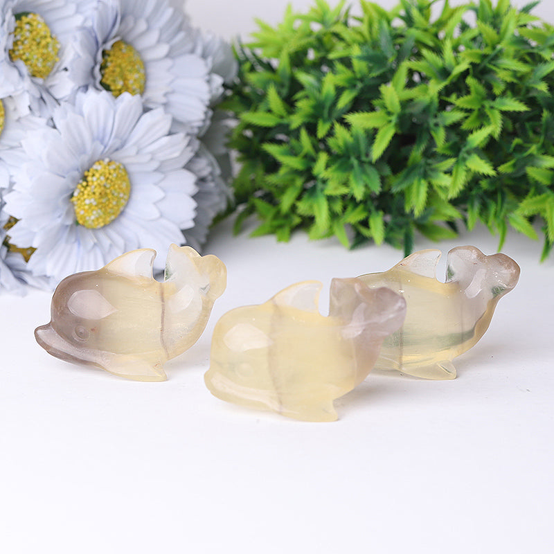 2,5-Zoll-Fluorit-Delfin-Kristallfigur Heilung