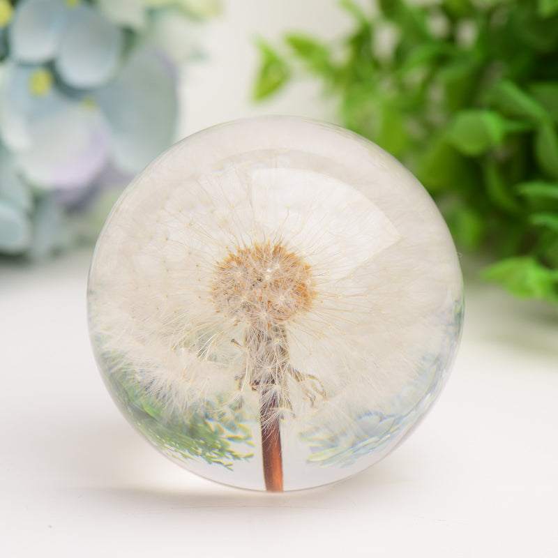 2.6 inch Resin Sphere with Preserved Dandelion for Calming Zen Decor