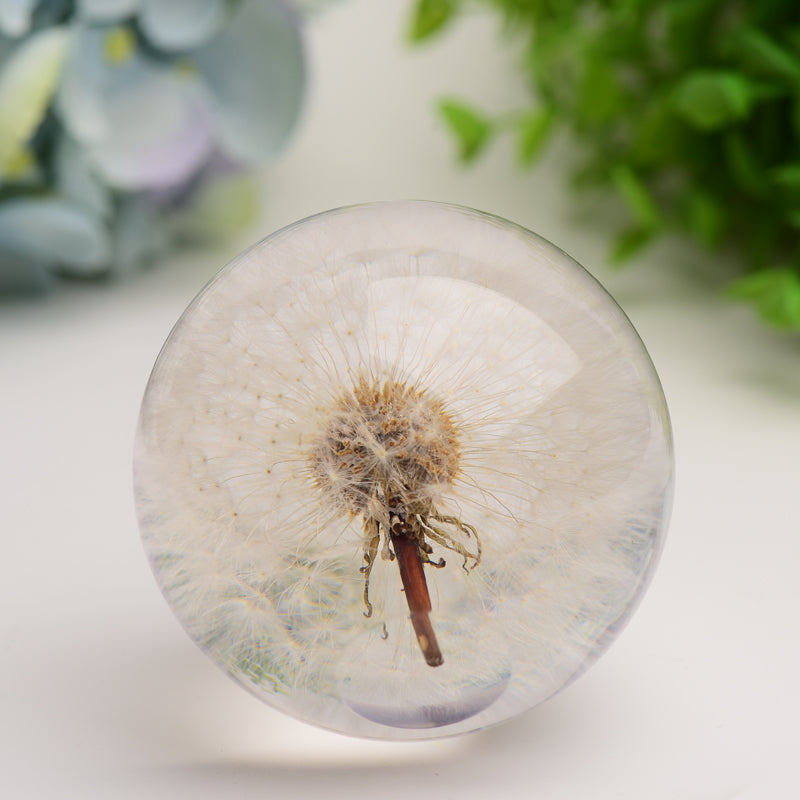 2.6 inch Resin Sphere with Preserved Dandelion for Calming Zen Decor