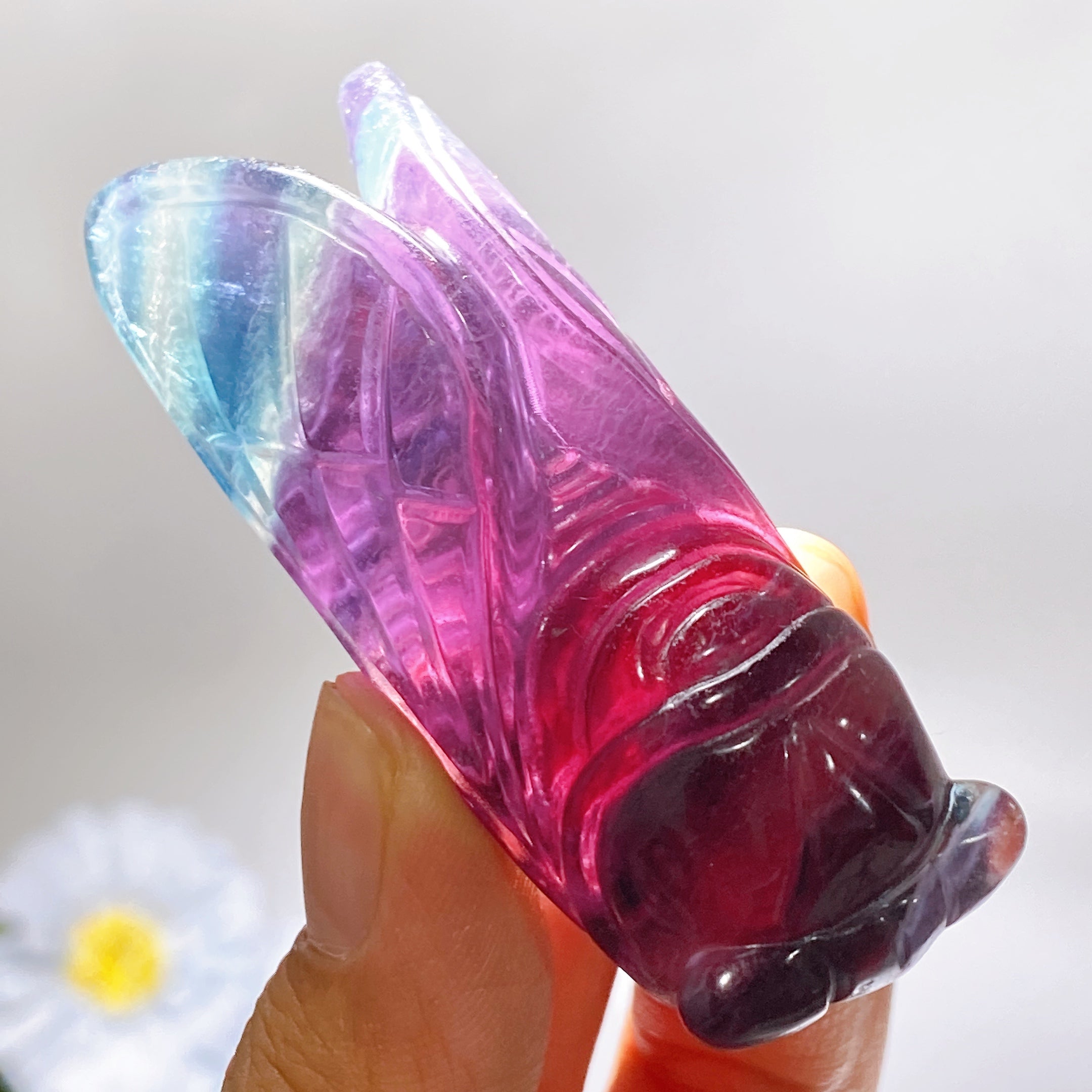 2,7 Zoll Regenbogen-Fluorit-Zikaden-Kristallschnitzerei