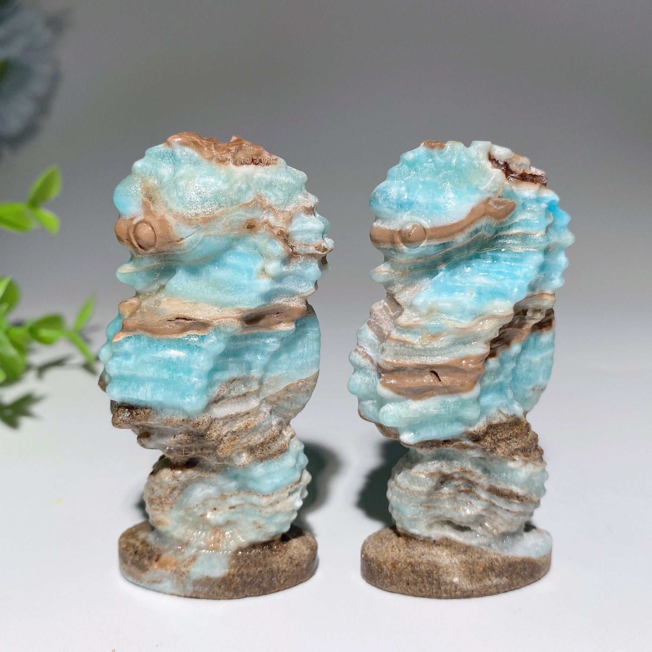 2,8 Zoll große Hemimorphit-Hippocampus-Kristallschnitzerei