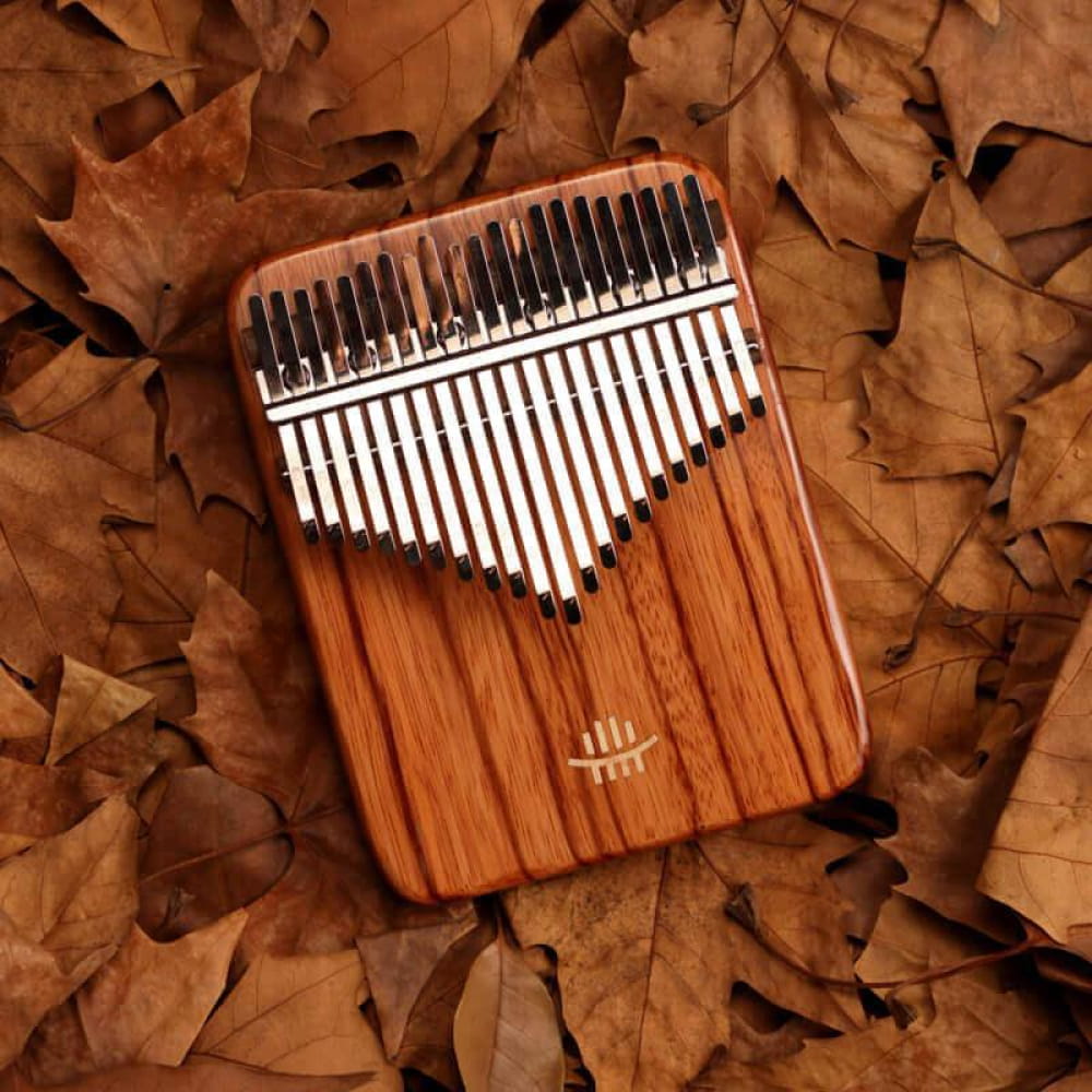 Wooden 21 Key Gabonese Rosewood C Tone Thumb Piano with metal tines in piano key pattern