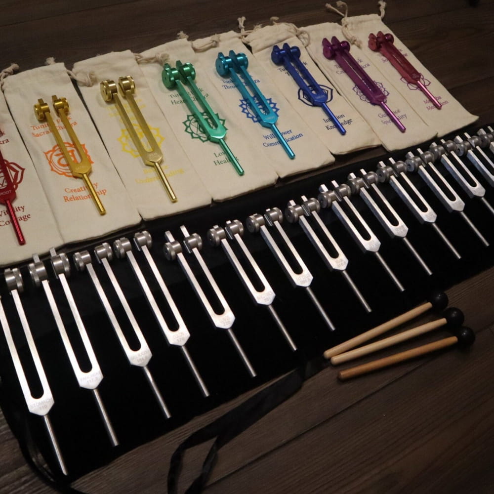 Colorful tuning forks on a black and white surface from 23pc Human Biology & Chakra set