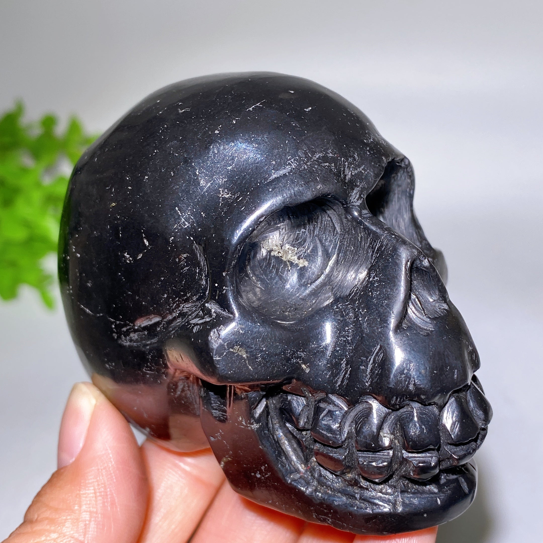 3,3 Zoll Schungit Totenkopf Kristall Figur Schnitzerei
