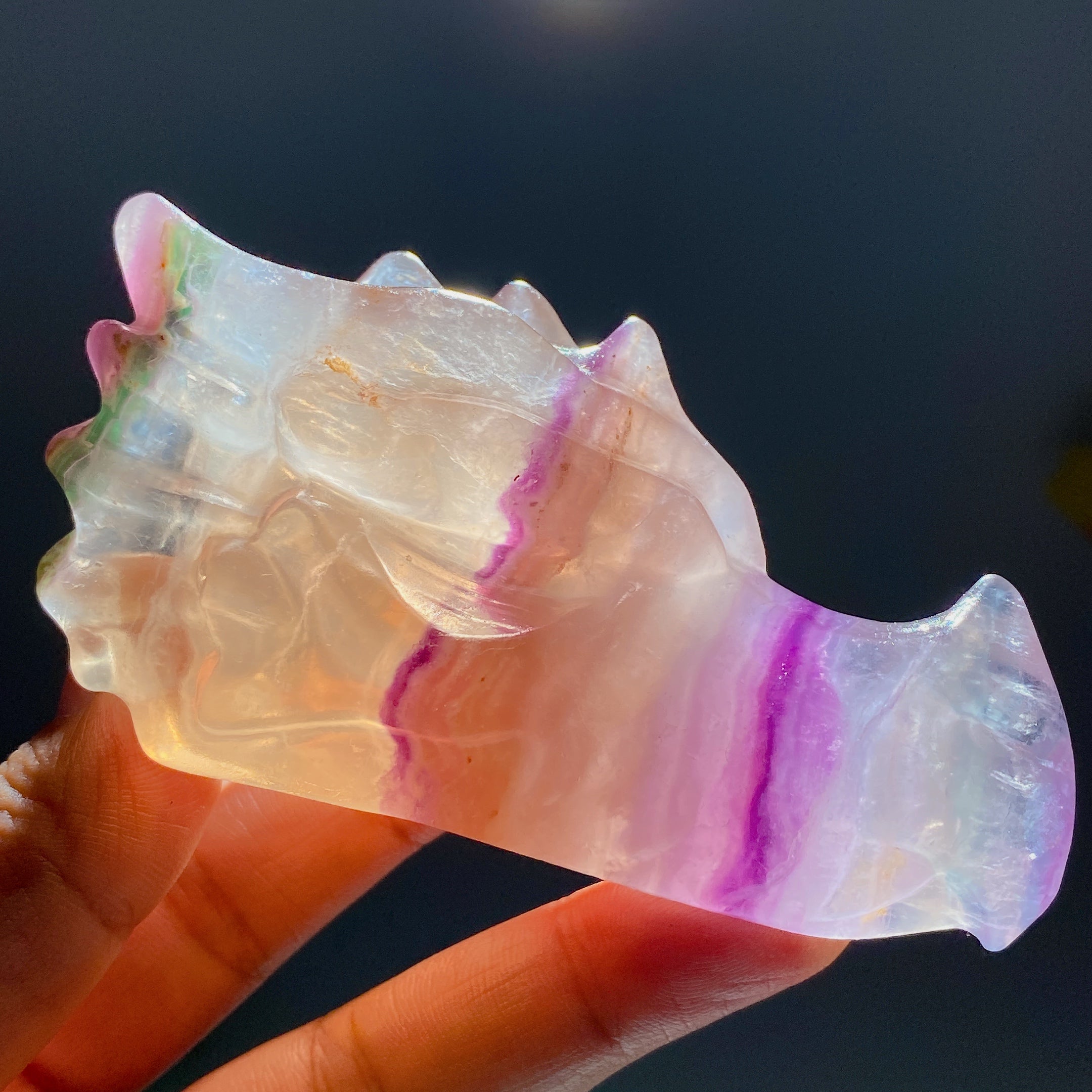 3,6 Zoll Fluoritkristall Drachenkopfschnitzerei