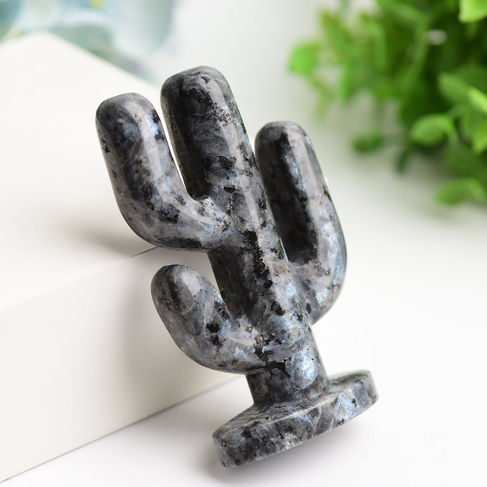 3,8 Zoll Larvikit-Kristall-Kaktus-Schnitzfigur