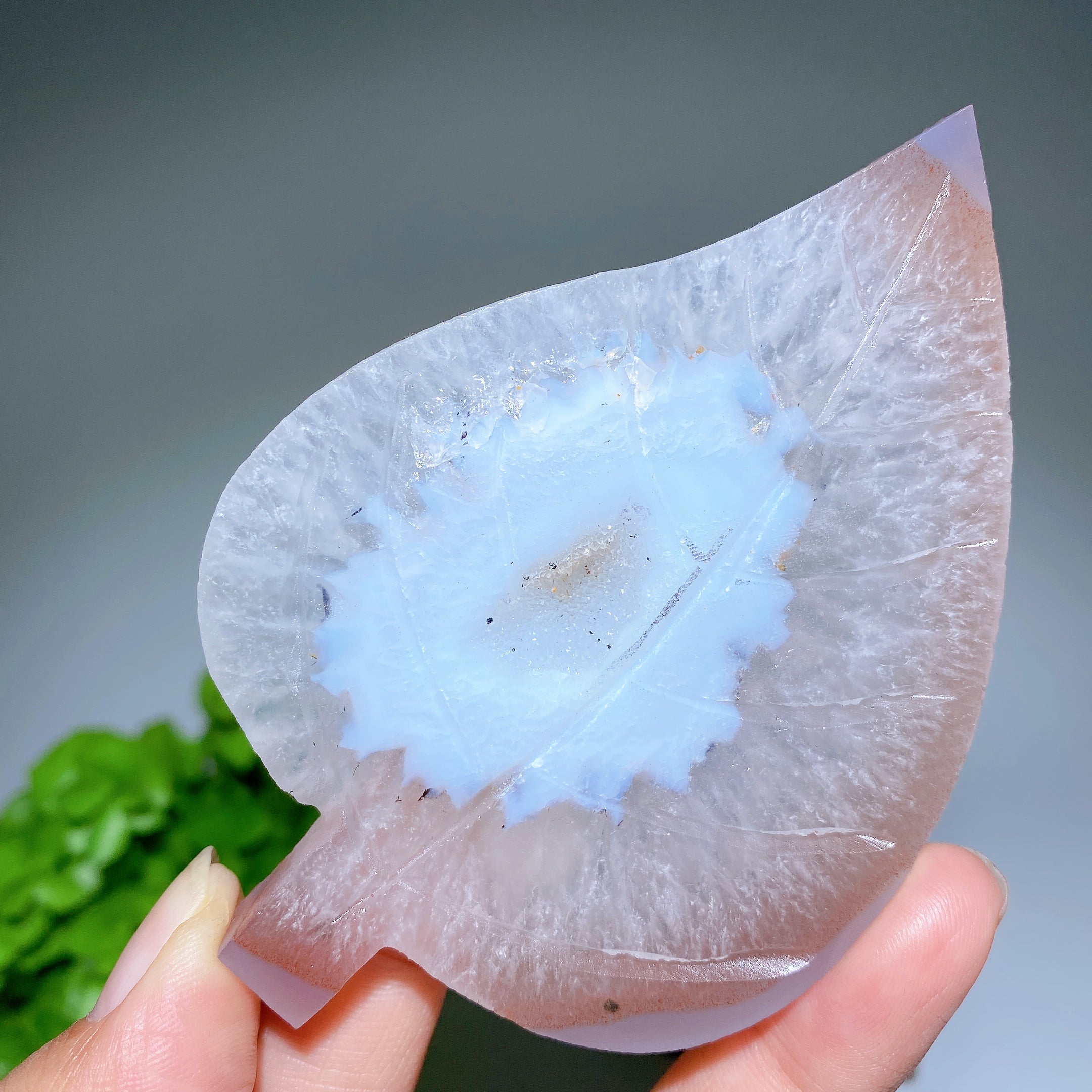 3,9 Zoll große Druzy-Achat-Blatt-Kristallfigur zur Heilung