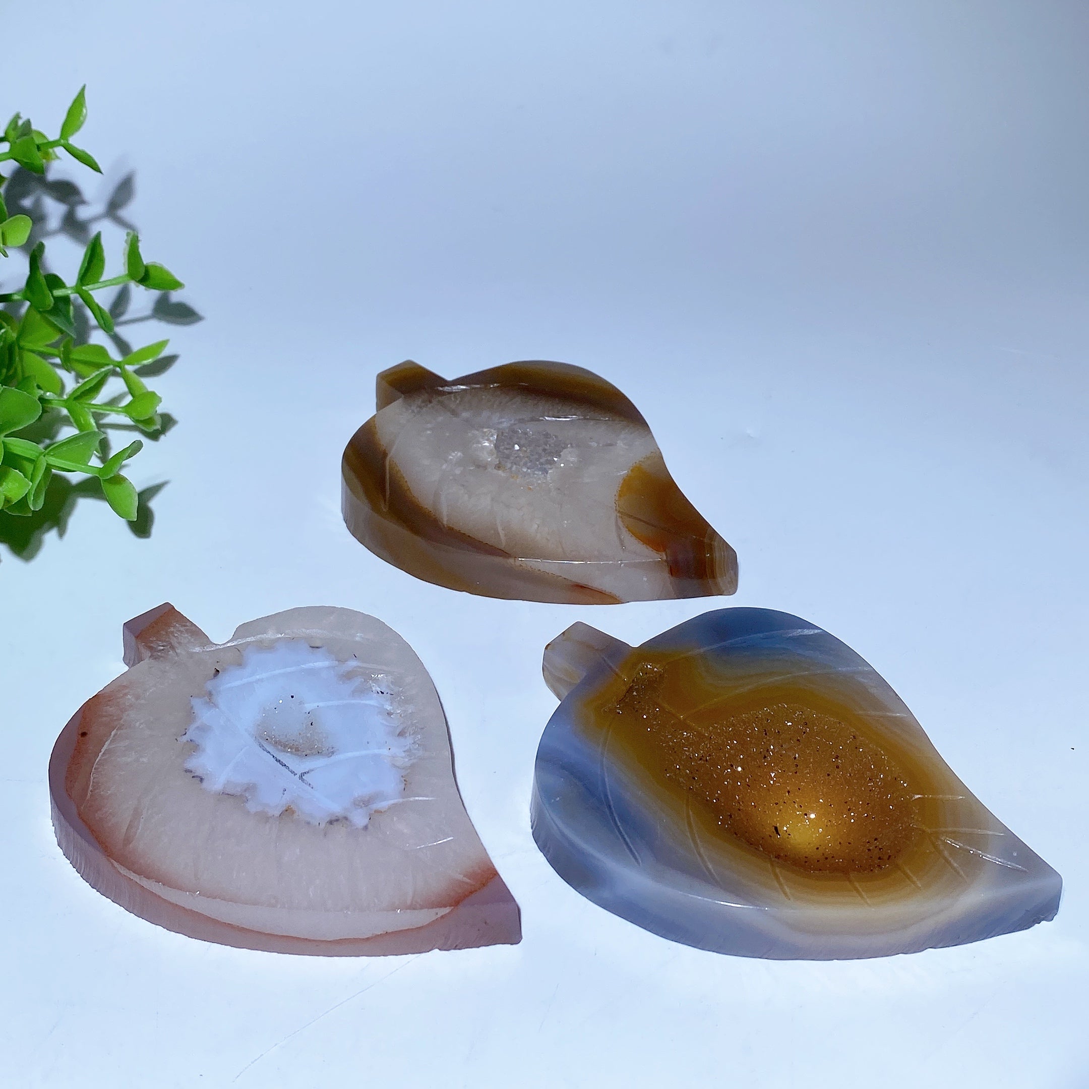 3,9 Zoll große Druzy-Achat-Blatt-Kristallfigur zur Heilung