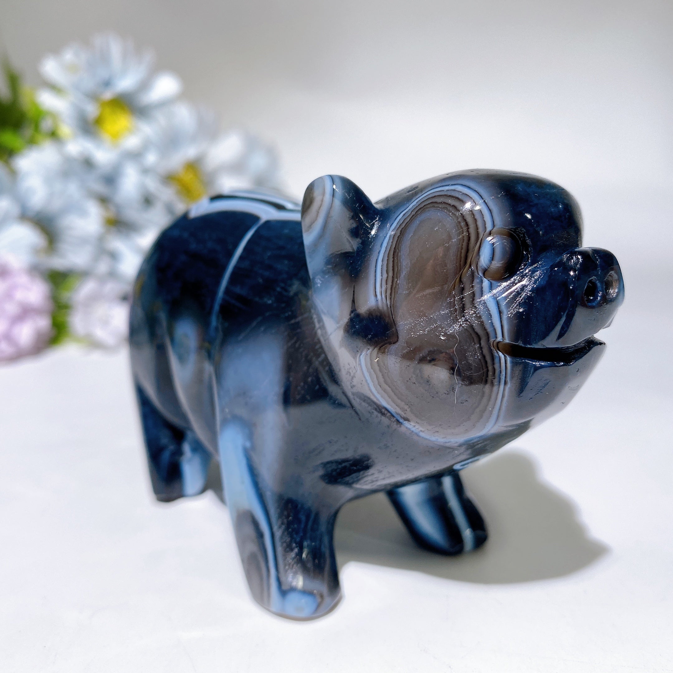 4,2 Zoll schwarz gebänderter Achat-Schweinchen-Kristallschnitzerei