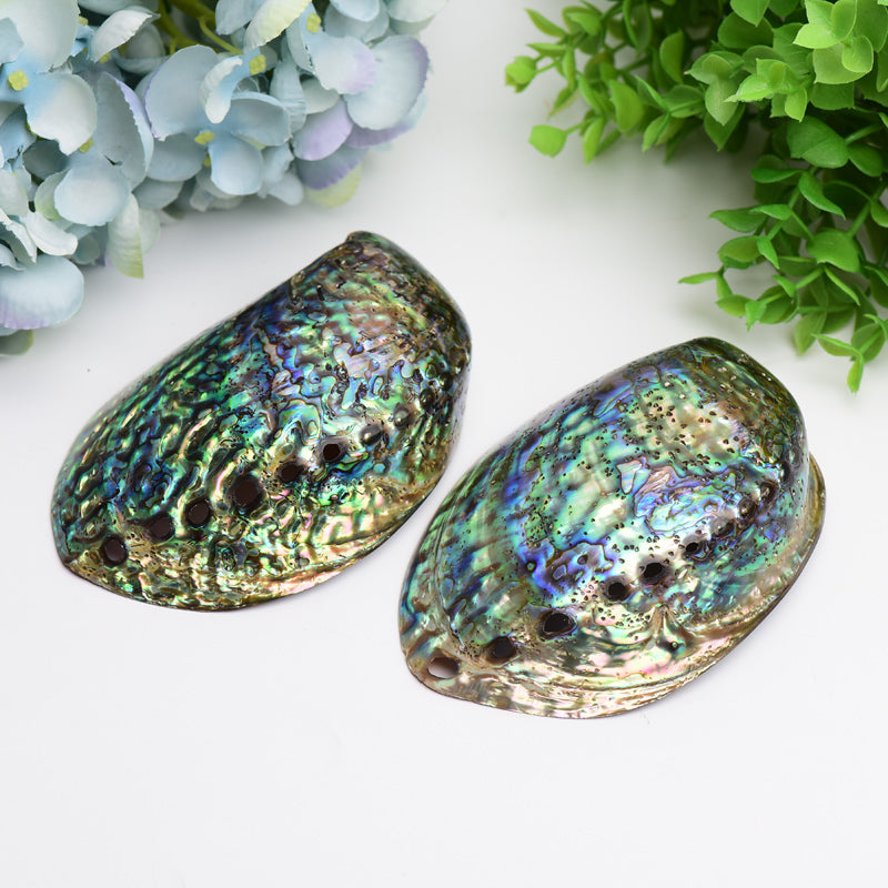 5.0 inch Aura Shell Free Form Zen Decor Accent