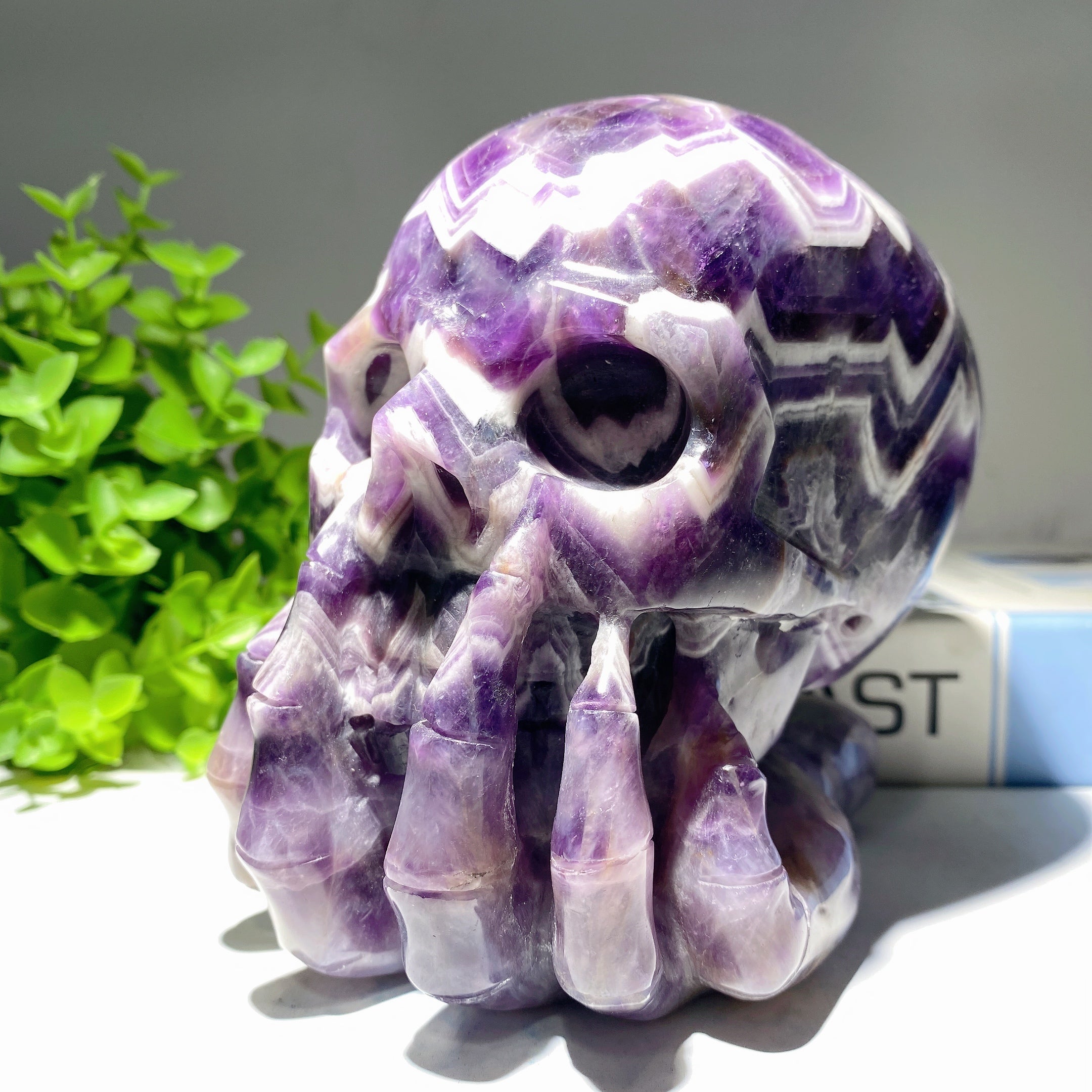 5.0" Unique Dream Amethyst Crystal Skull for Healing