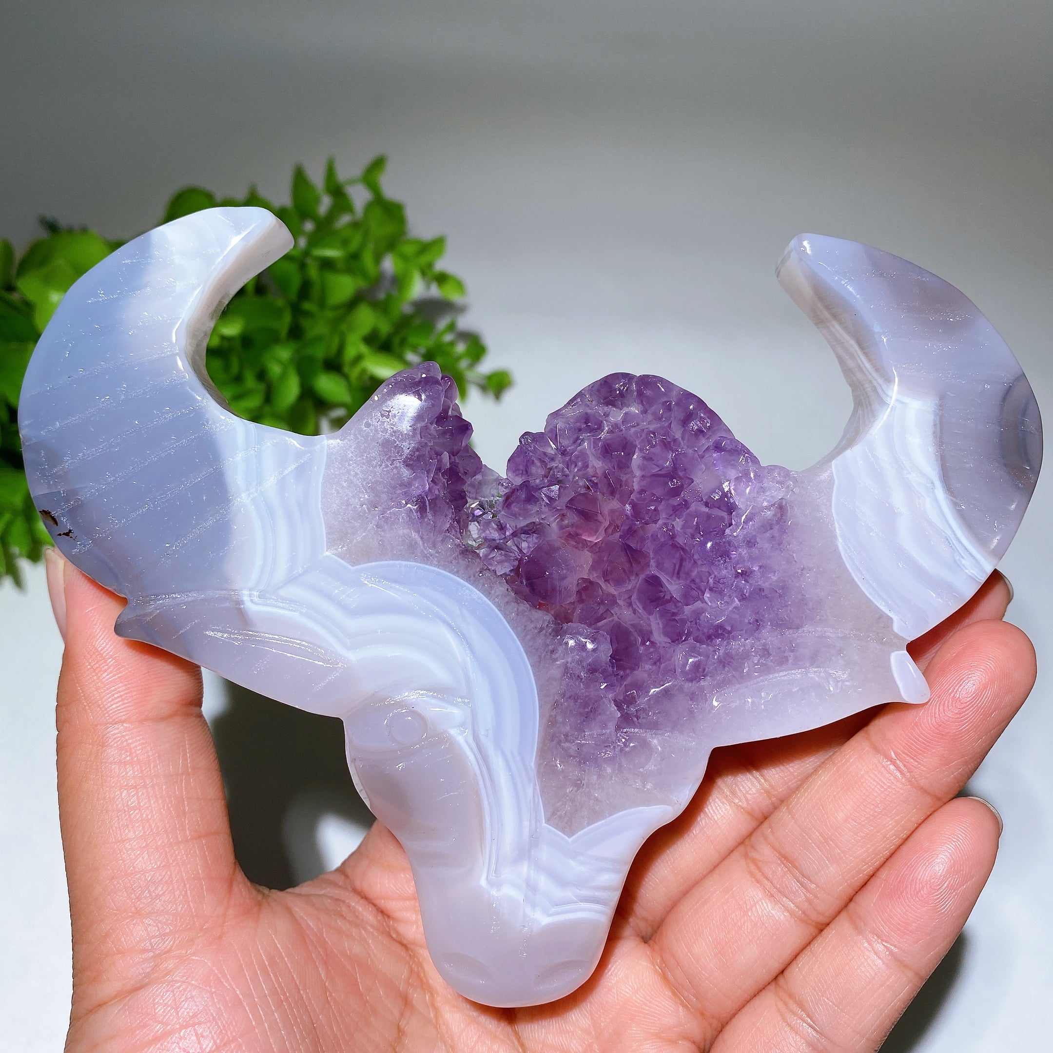 5,4 Zoll große Druzy-Amethyst-Stierkopf-Kristallfigur