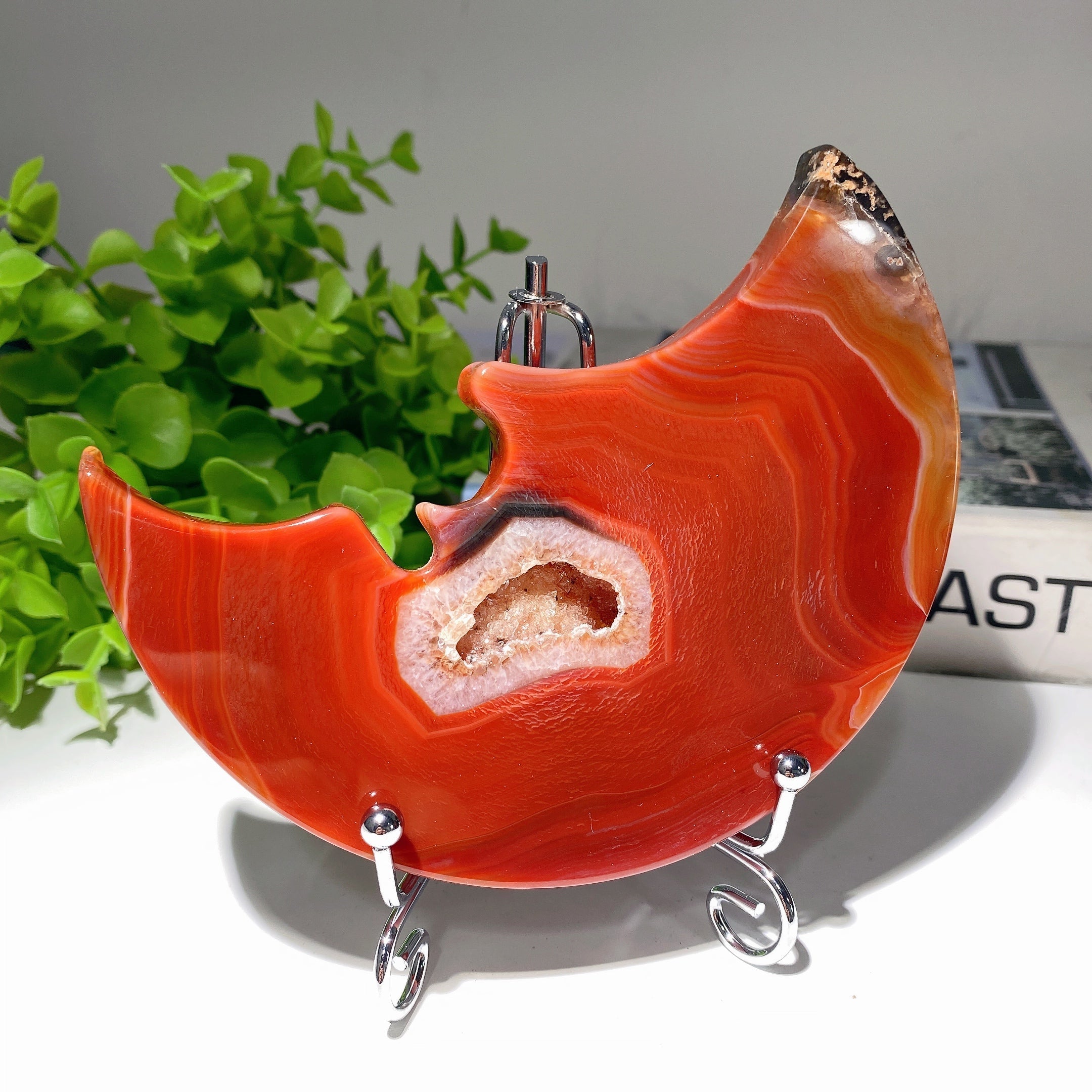 5 Zoll Druzy Karneol Mondschnitzerei für Kristalldekor