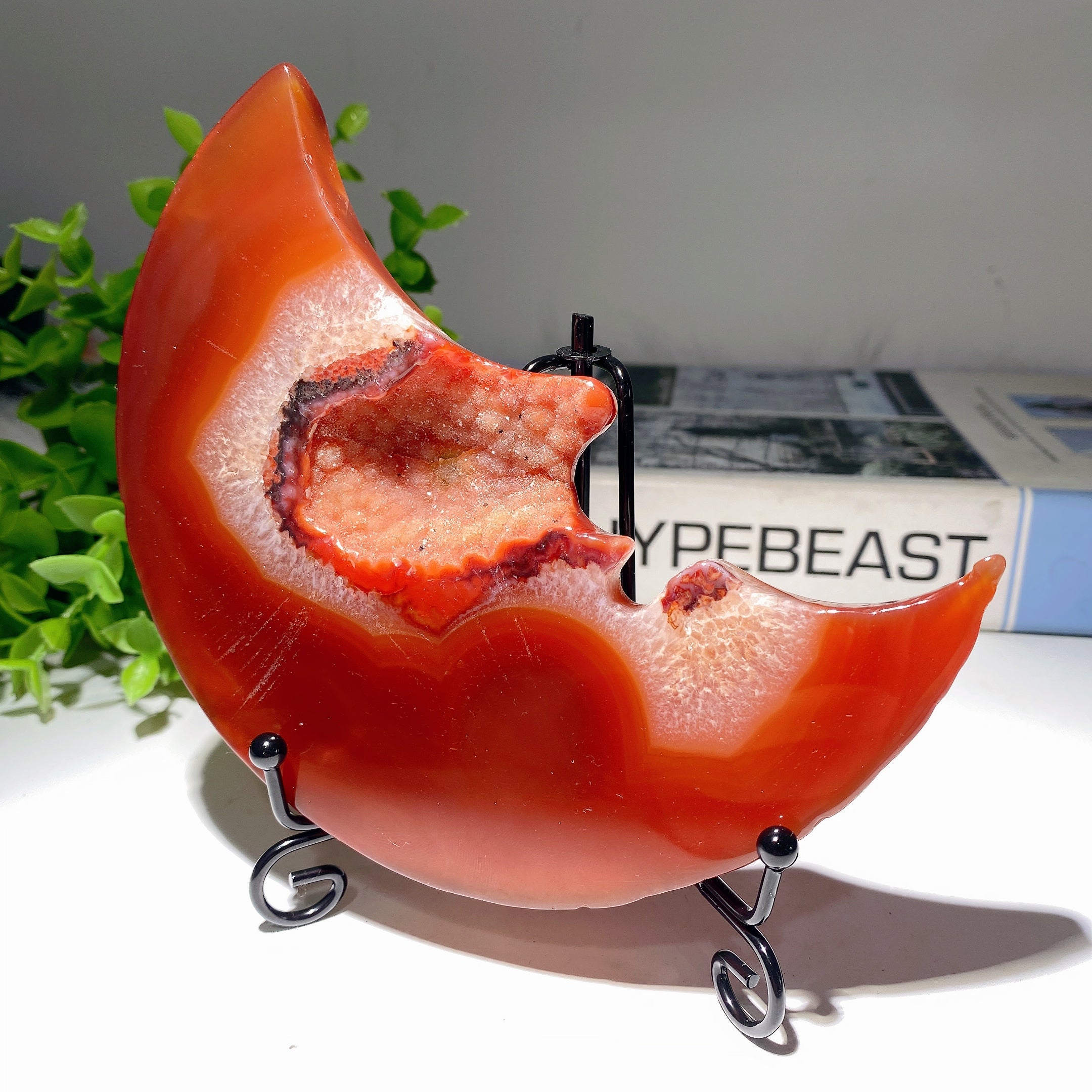 5 Zoll Druzy Karneol Mondschnitzerei für Kristalldekor