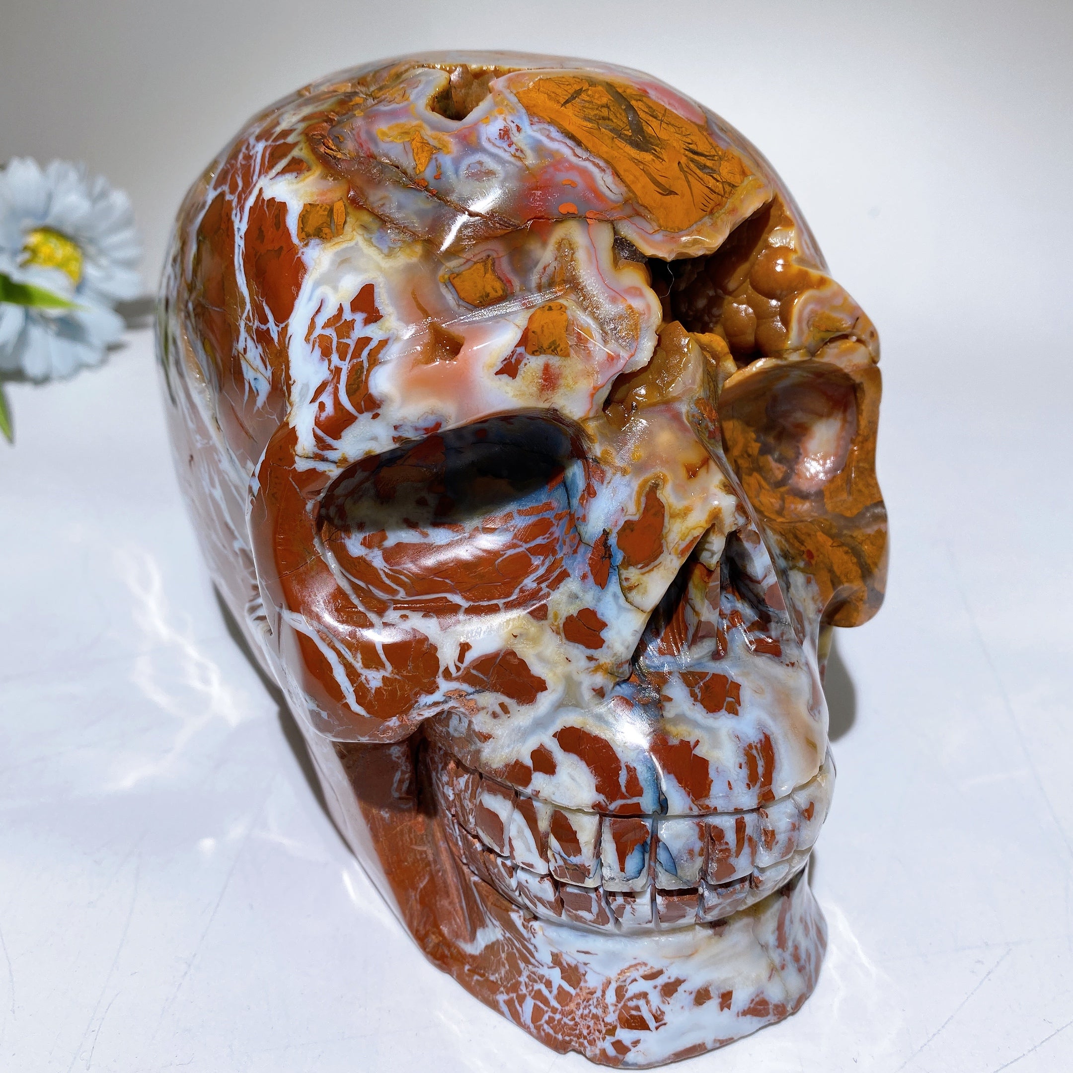 6,3 Zoll Brecciated Achat Totenkopf Kristall Figur