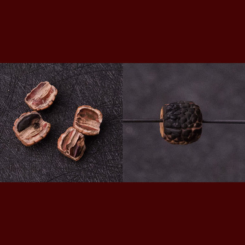 Tibet 108 Perlen Bodhi Seed Zodiac Charm Mala Armband