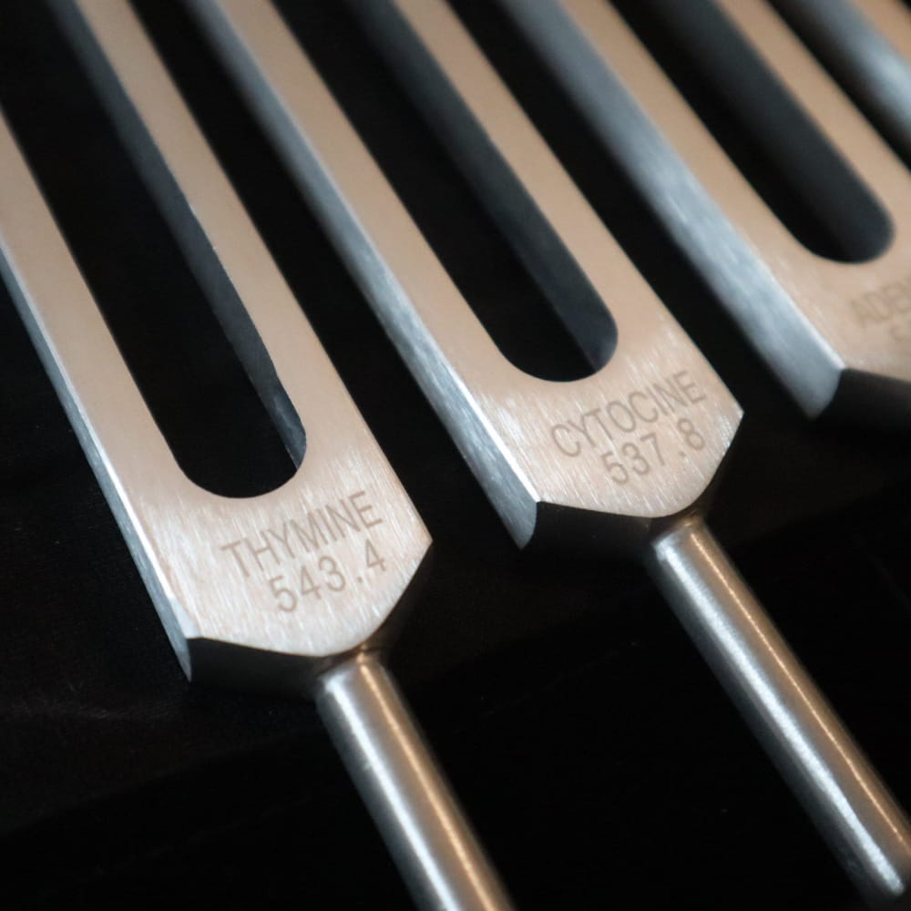 Metal tuning forks with engraved frequency markings in DNA Nucleotide Tuning Fork set