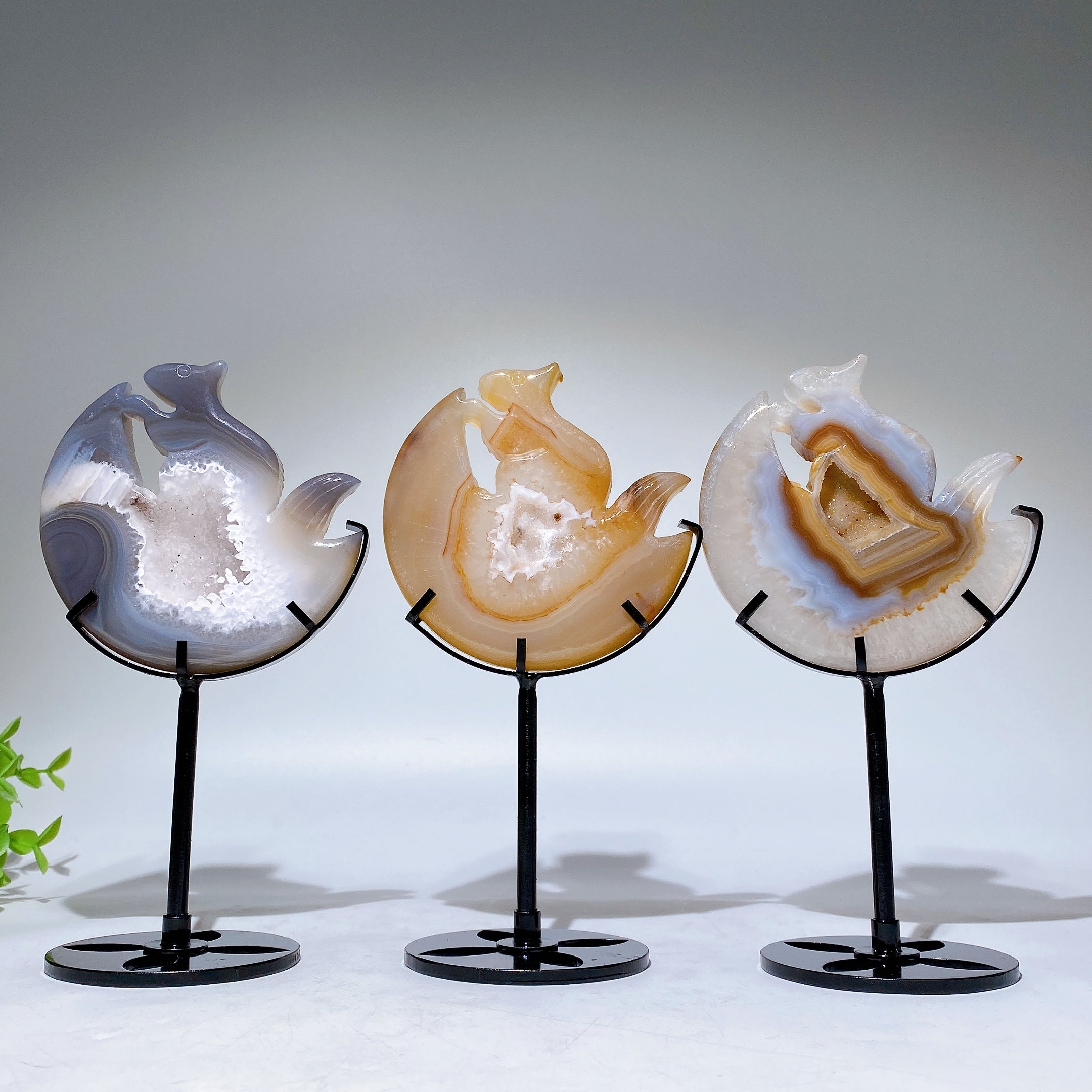 Druzy Achat Eichhörnchen Schnitzerei Kristall Figur 3,6 in Stand