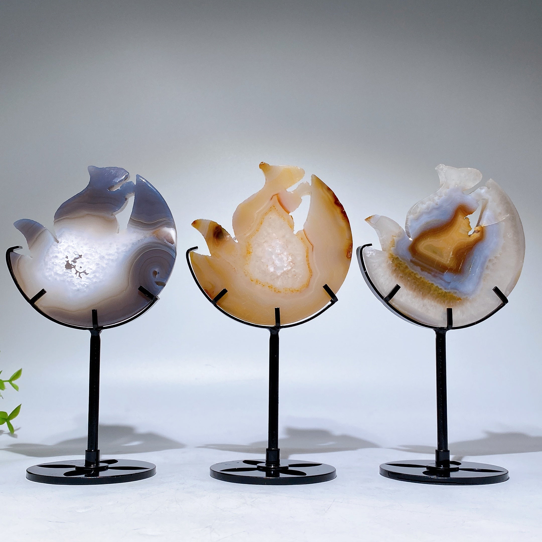 Druzy Achat Eichhörnchen Schnitzerei Kristall Figur 3,6 in Stand