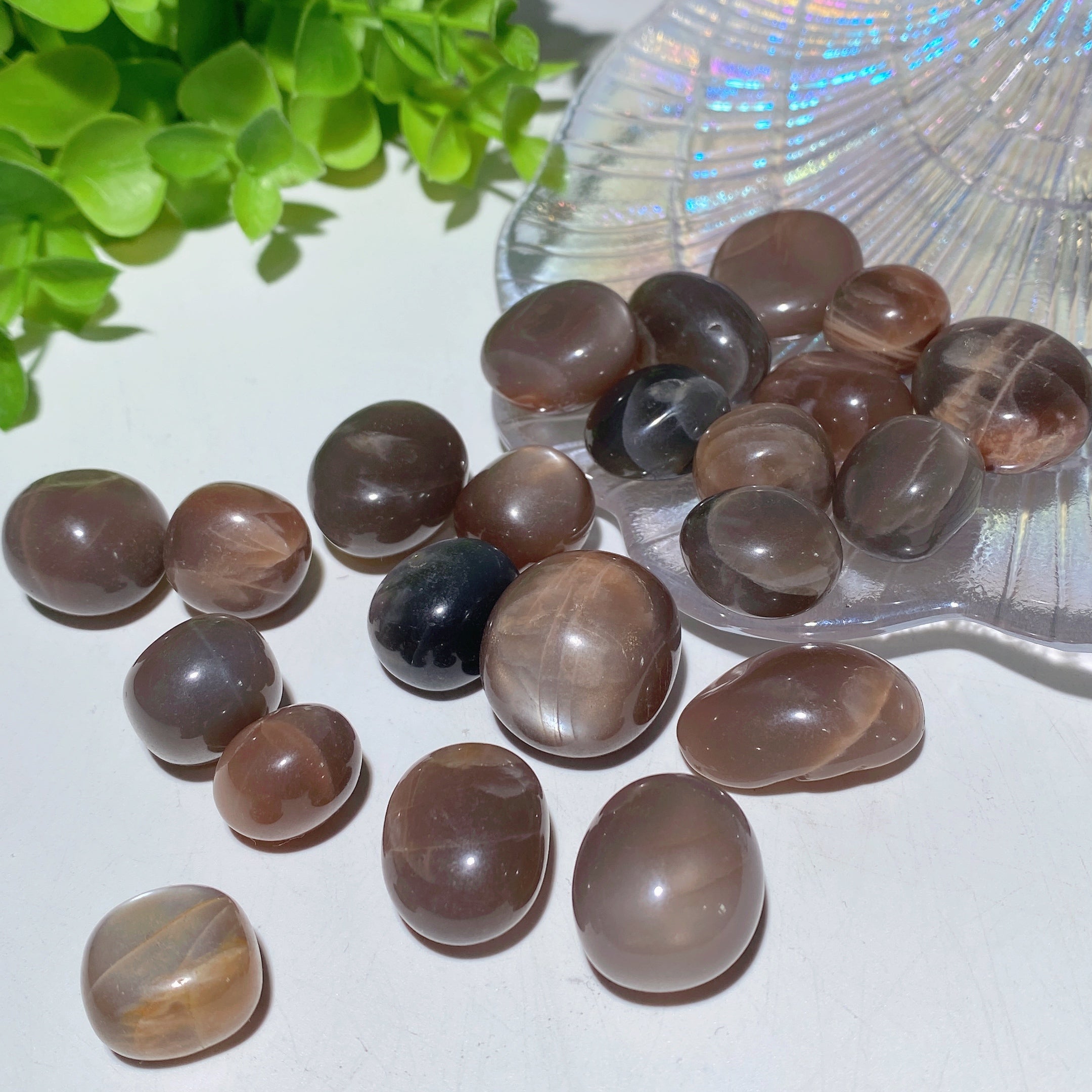 Natürliche Trommelsteine 15–30 mm für die Kristallheilung