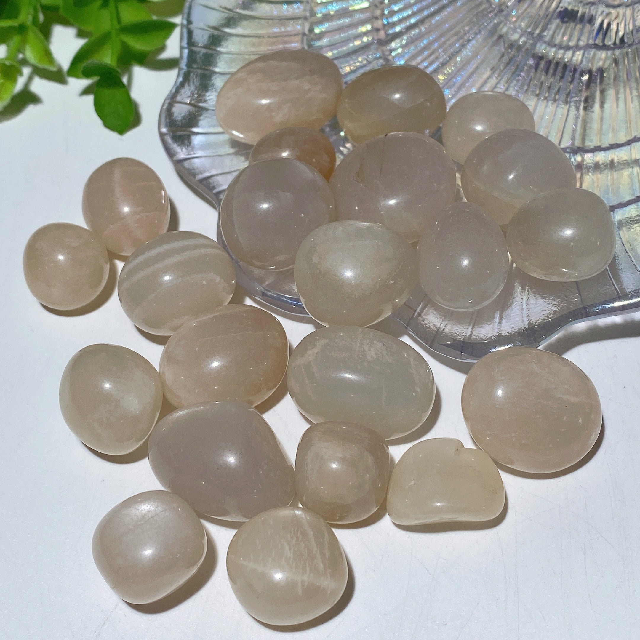 Natürliche Trommelsteine 15–30 mm für die Kristallheilung