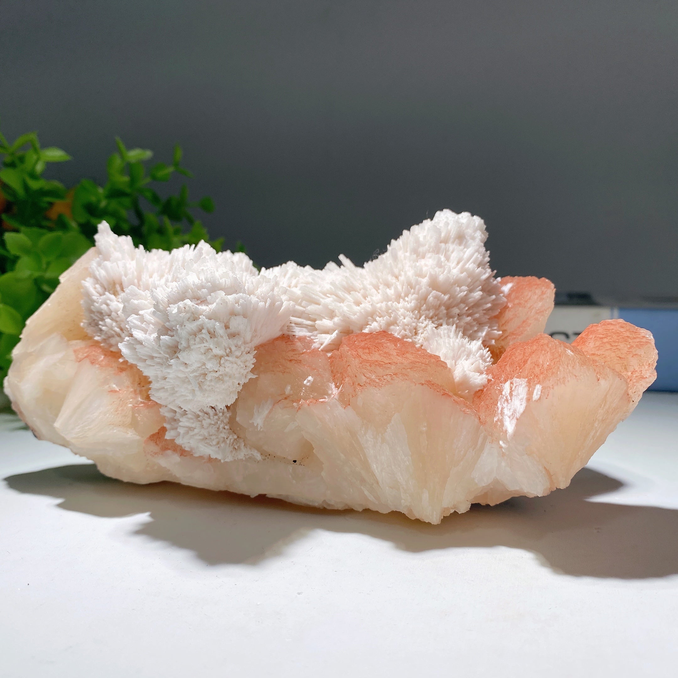 Zeolite Crystal Specimen 5-8in Natural Healing Display