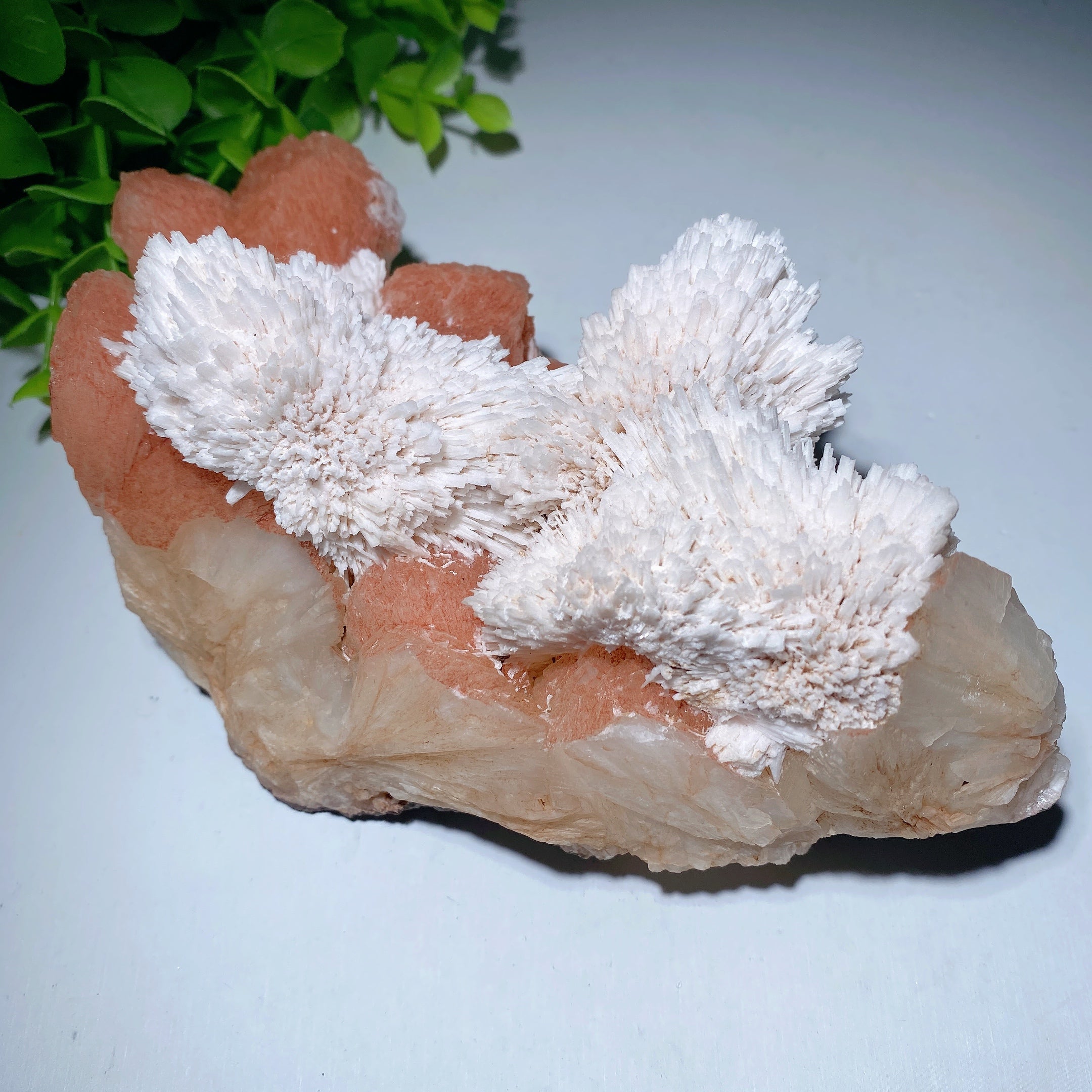 Zeolite Crystal Specimen 5-8in Natural Healing Display