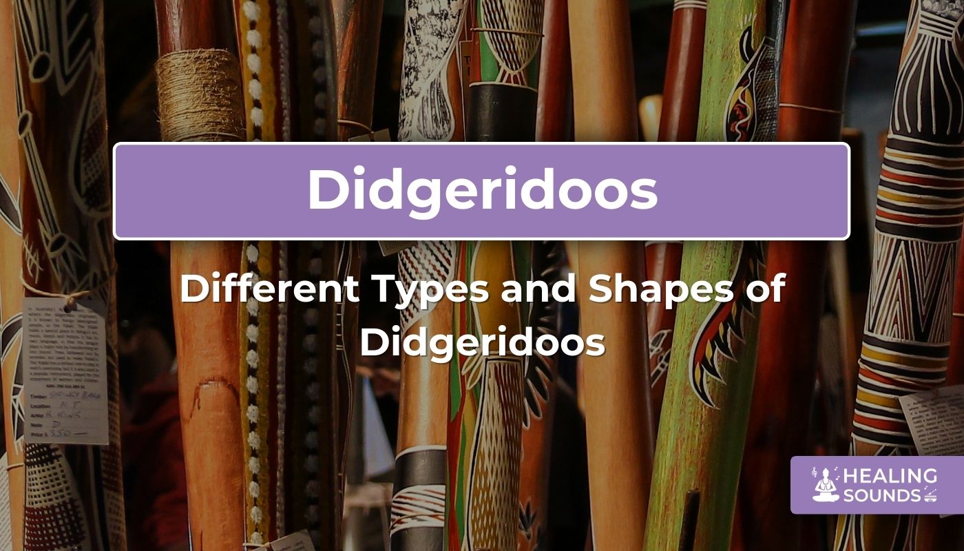 Different Types and Shapes of Didgeridoos