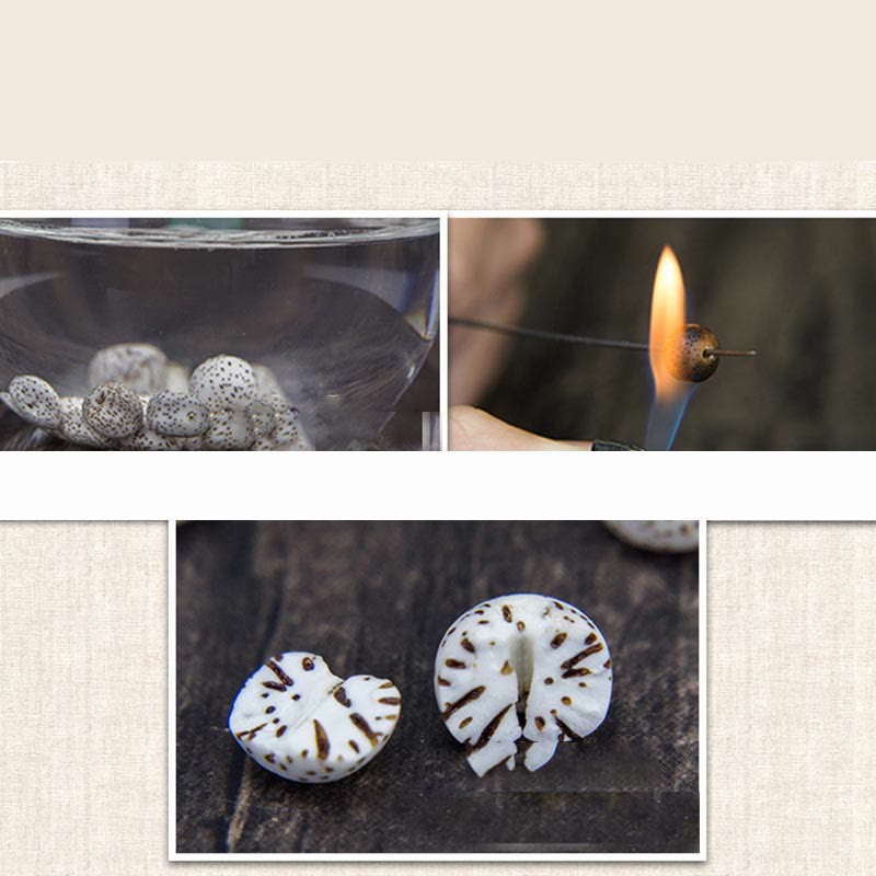 108 Perlen Bodhi Seed Mala Armband | Avalokitesvara Pixiu Guan Gong