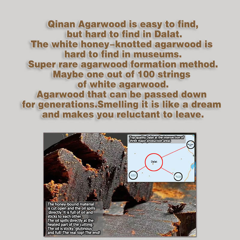 10 mm Adlerholz-Stärkearmband – seltenes Dalat White Qinan Sinking