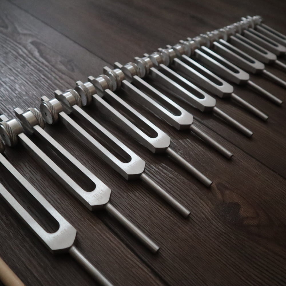 Row of tuning forks from 12pc Song of the Spine Biofield Tuning Fork Set