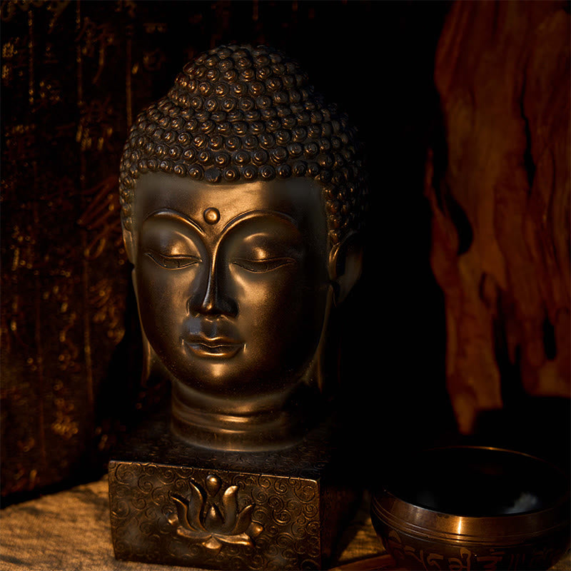 Tibetan Buddha Blessing Meditation Statue 10in Resin