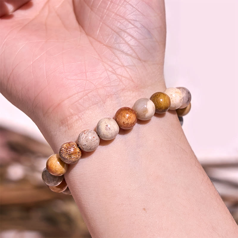 8-9mm Fossil Coral Compassion Bracelet for Self-Esteem & Strength