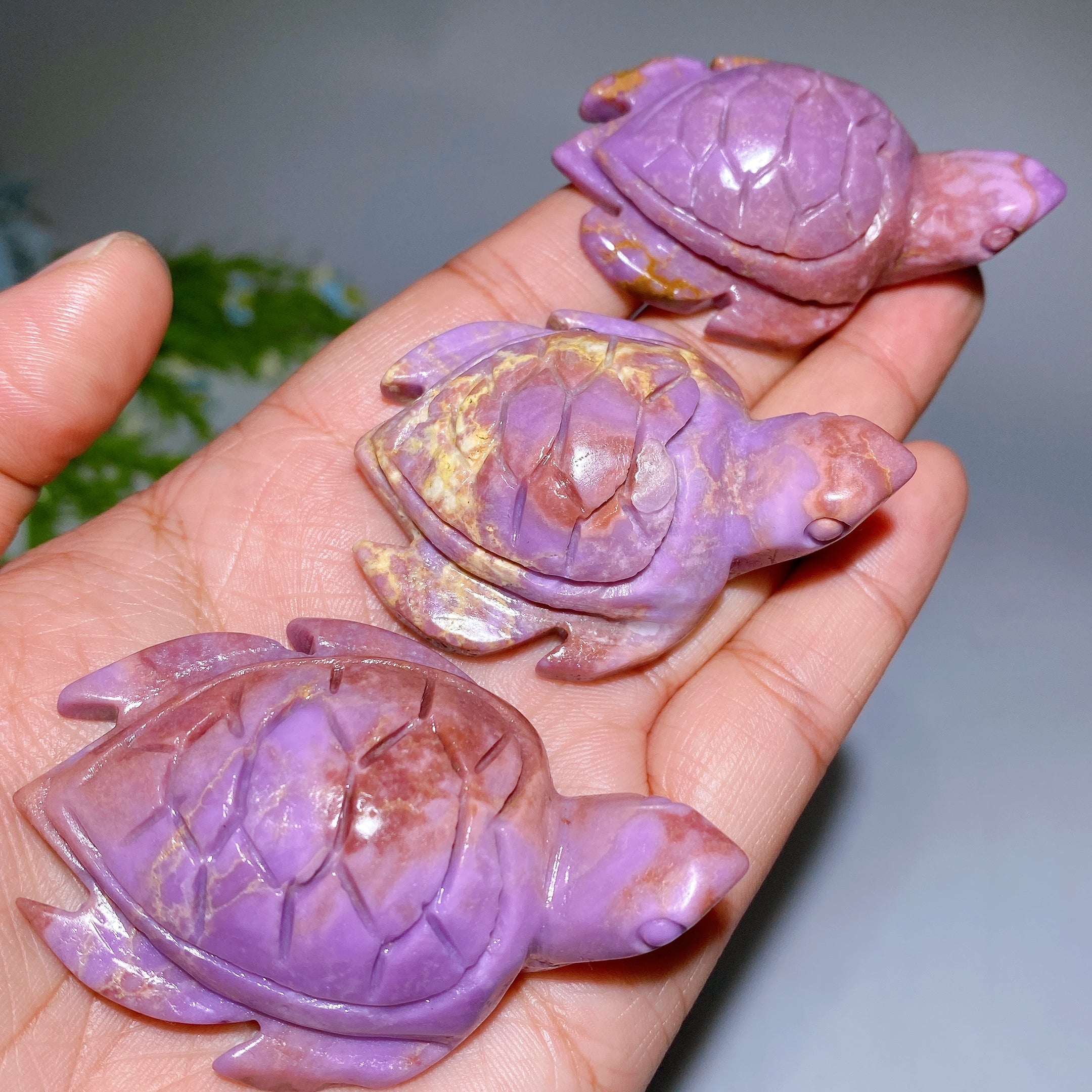 2.0-2.4 inch Phosphosiderite Crystal Turtle Carving Figurine