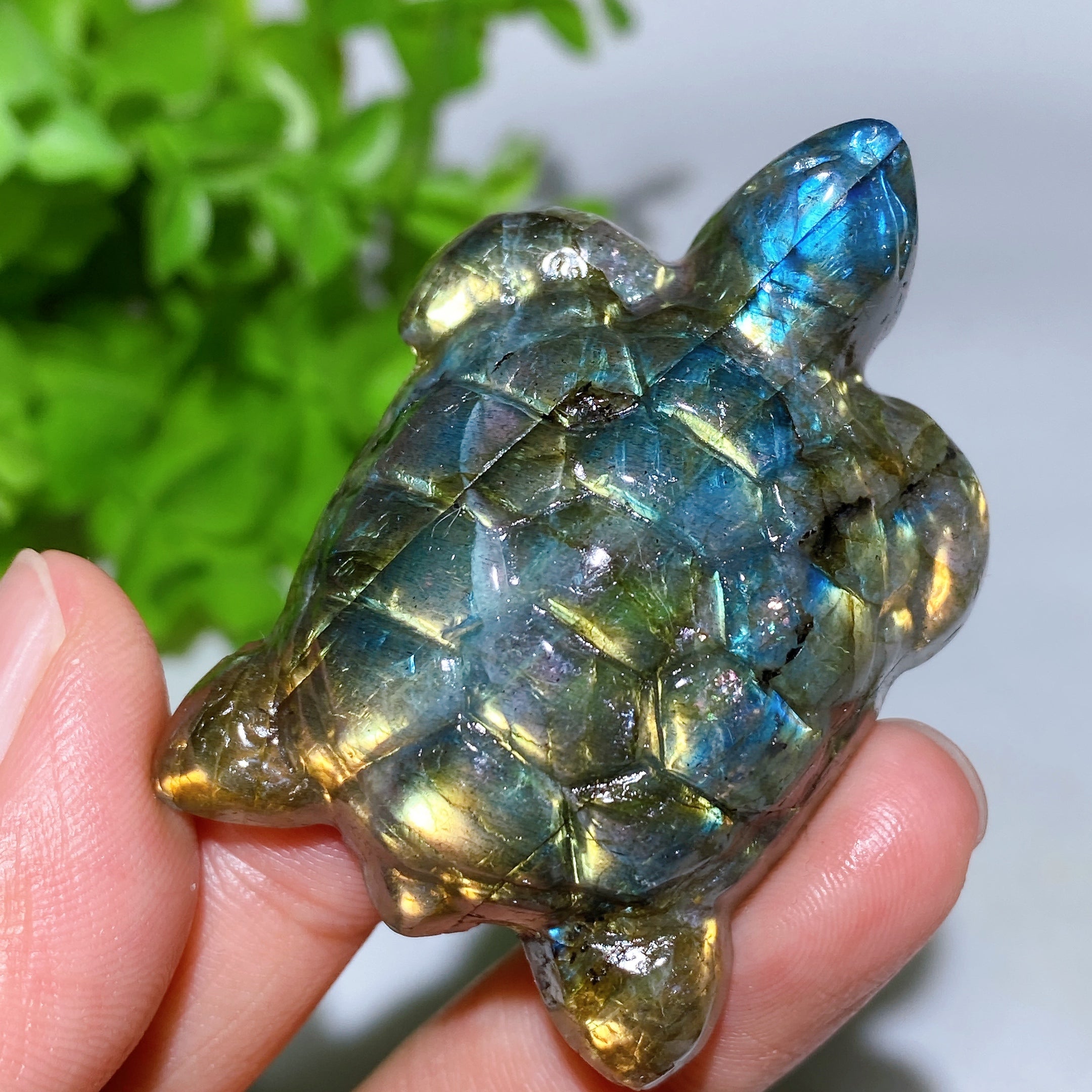 2.0 inch Labradorite Crystal Turtle Figurine for Healing