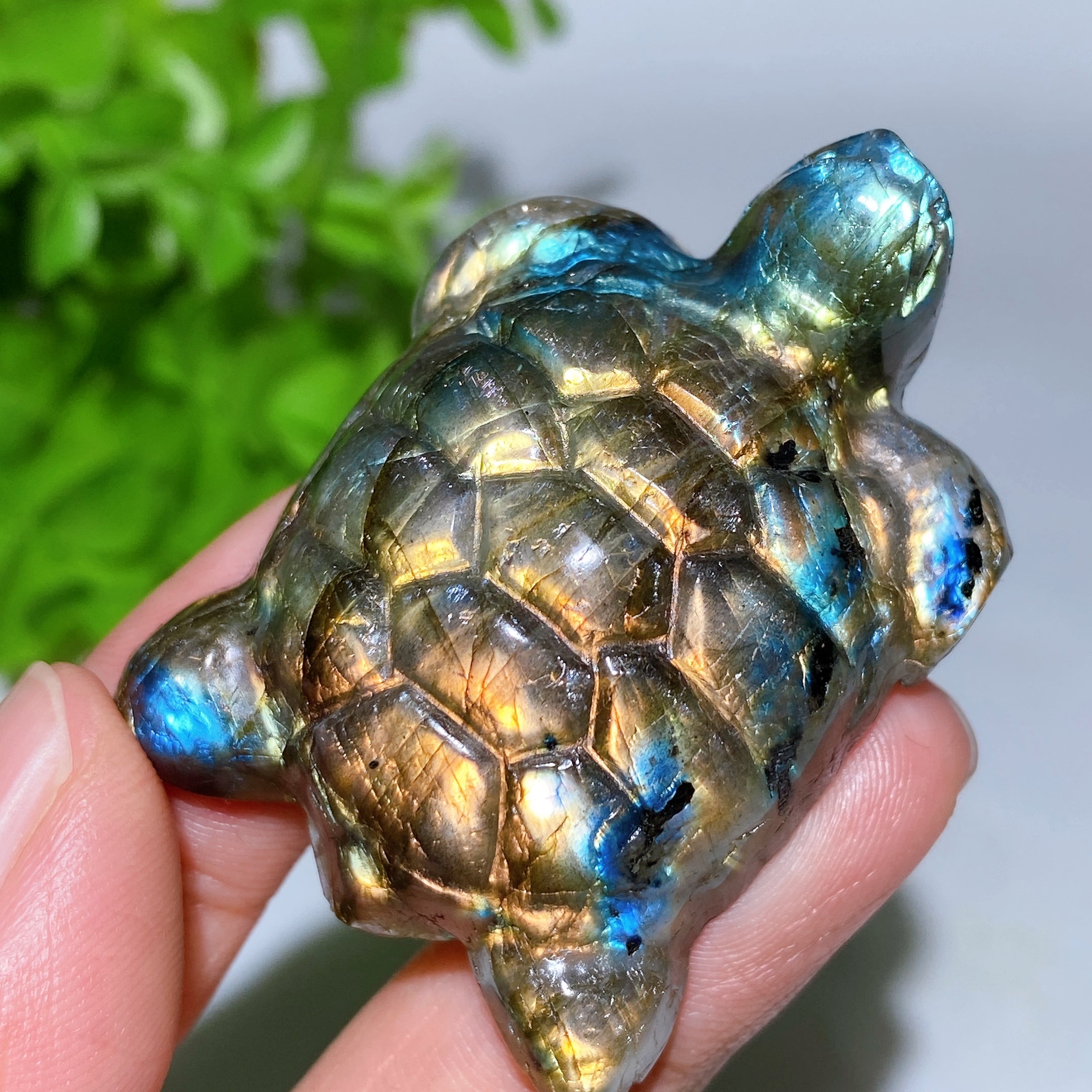 2.0 inch Labradorite Crystal Turtle Figurine for Healing