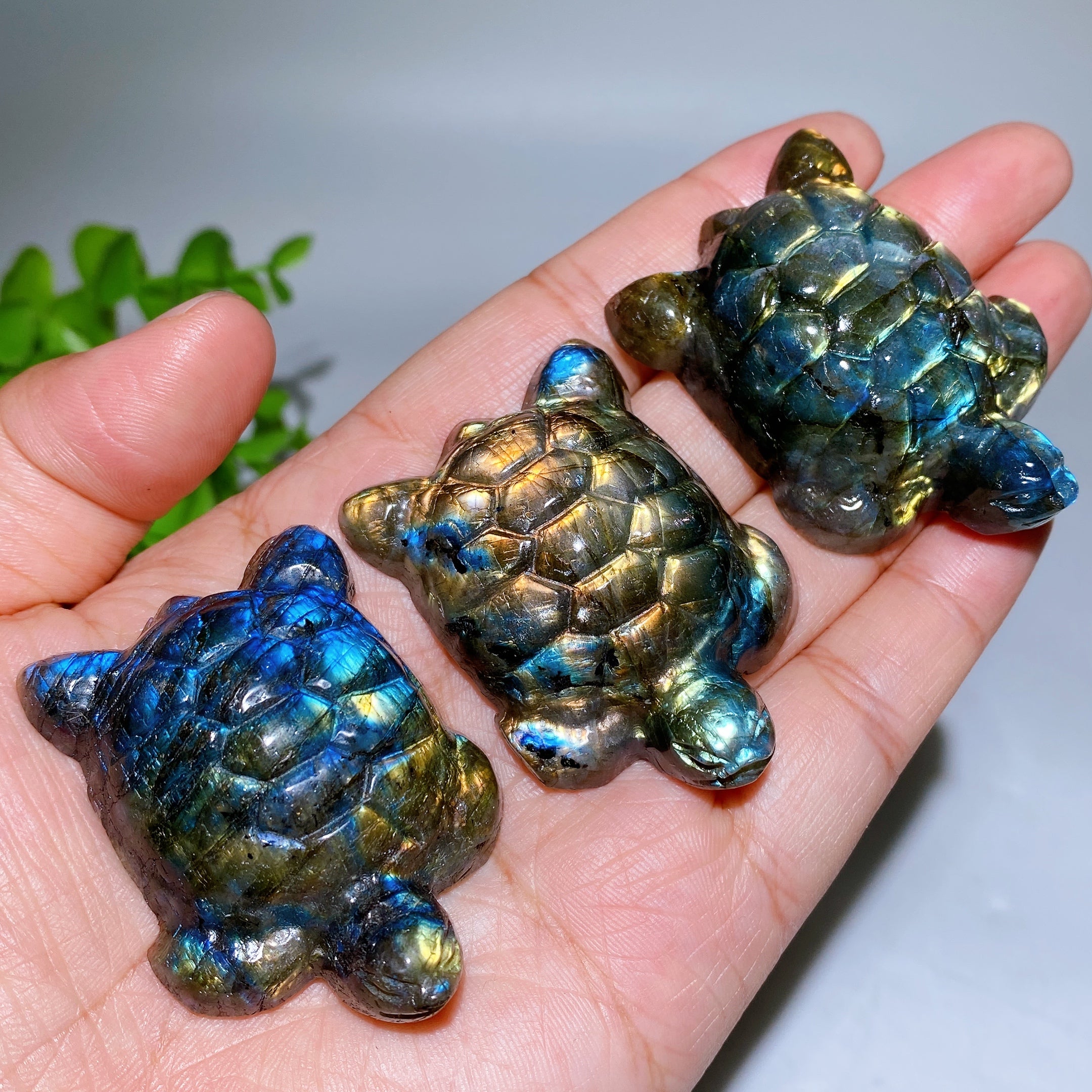 2.0 inch Labradorite Crystal Turtle Figurine for Healing