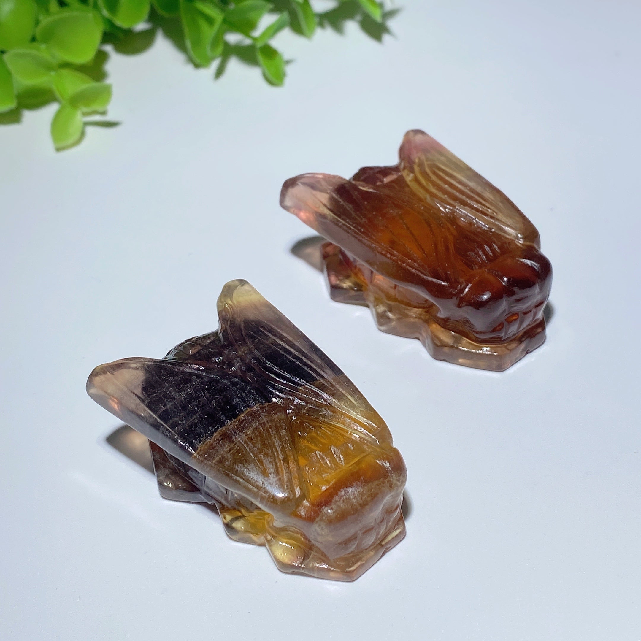 2,0 Zoll Gelber Fluorit Zikade Kristall Tierschnitzerei
