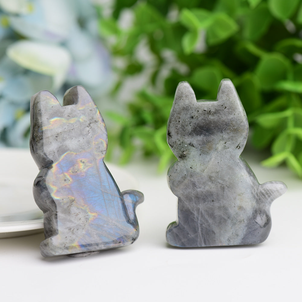 2,3 Zoll Labradorit Heilkatze Kristall Schnitzfigur