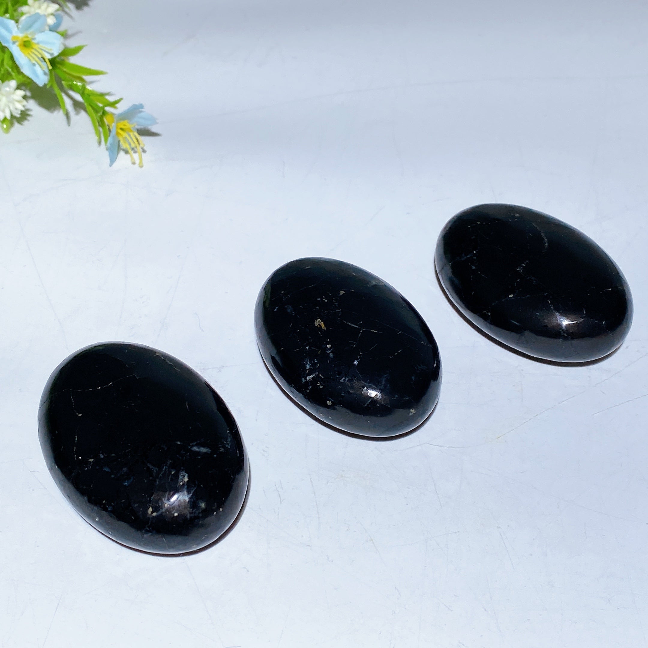 2.3 inch Schungite Energy Grounding Palm Stone