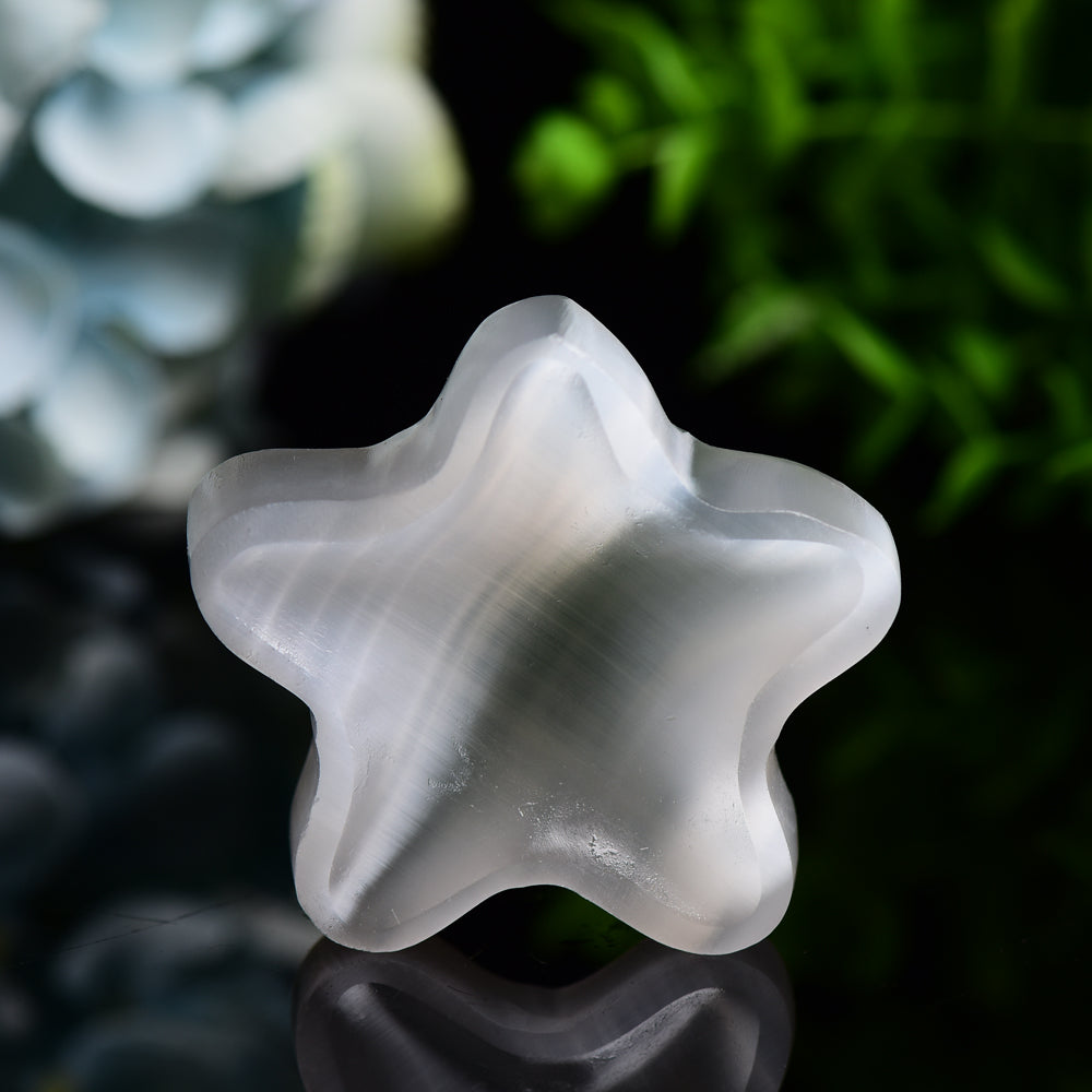 2.3 Inch Star Shape Selenite Bowl for Crystal Decor