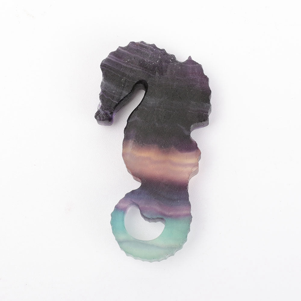 2.5 Inch Hand Carved Fluorite Hippocampus