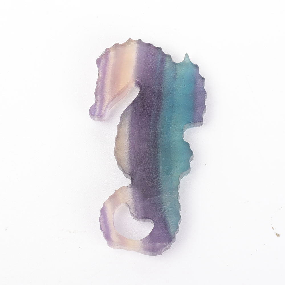 2.5 Inch Hand Carved Fluorite Hippocampus