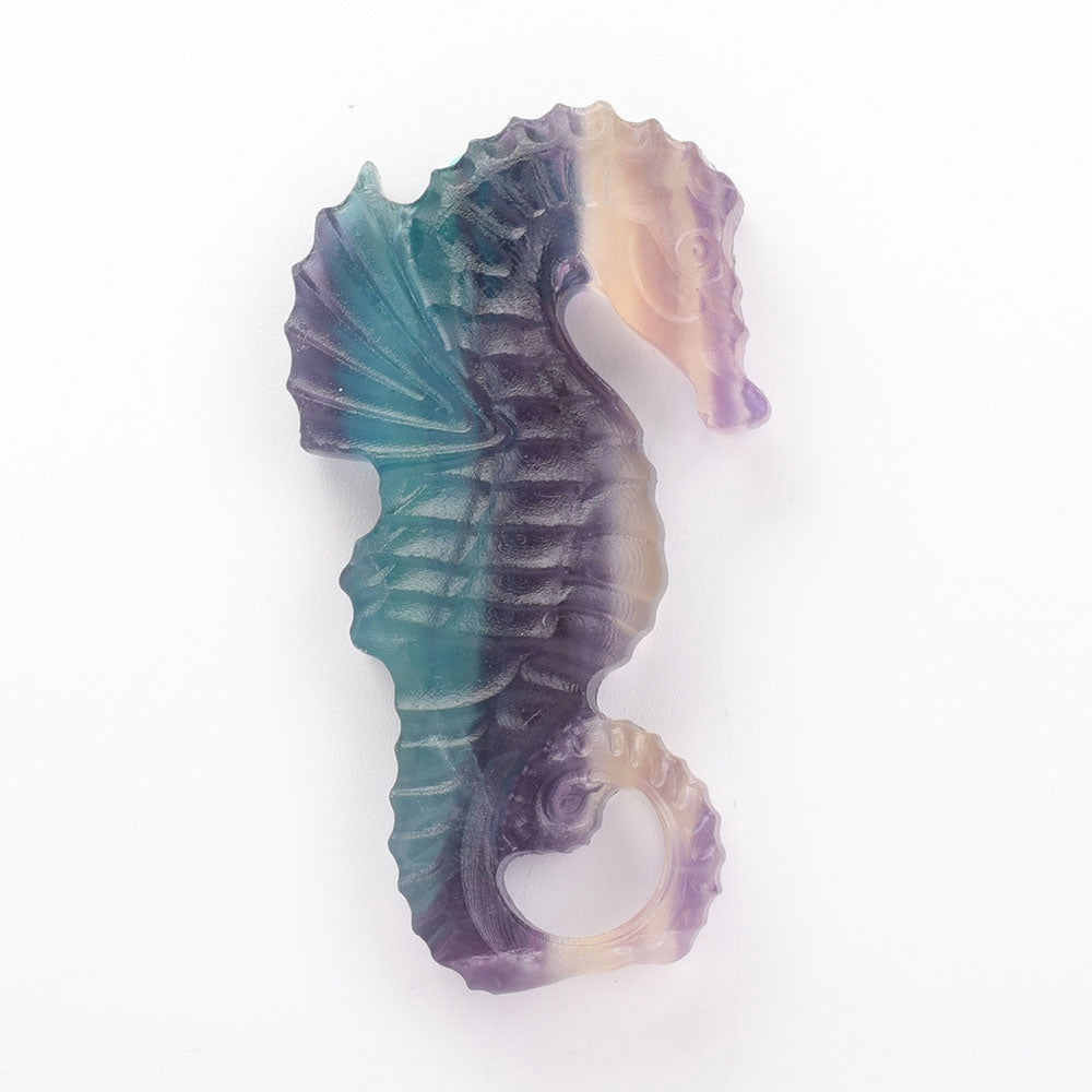 2.5 Inch Hand Carved Fluorite Hippocampus